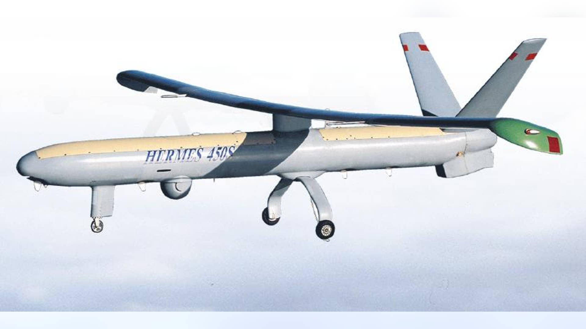 Hermes 450/Watchkeeper