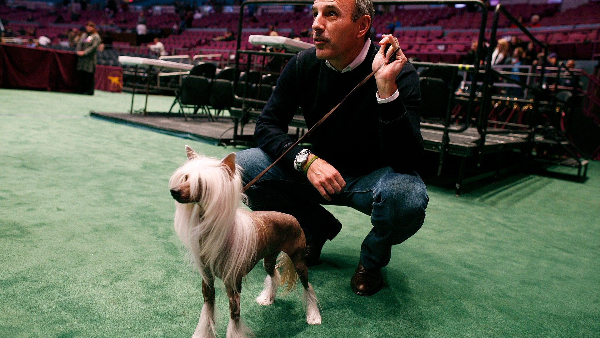 Television personality Matt Lauer at the 133rd annual Westminster Dog Show in New York City, February 10, 2009