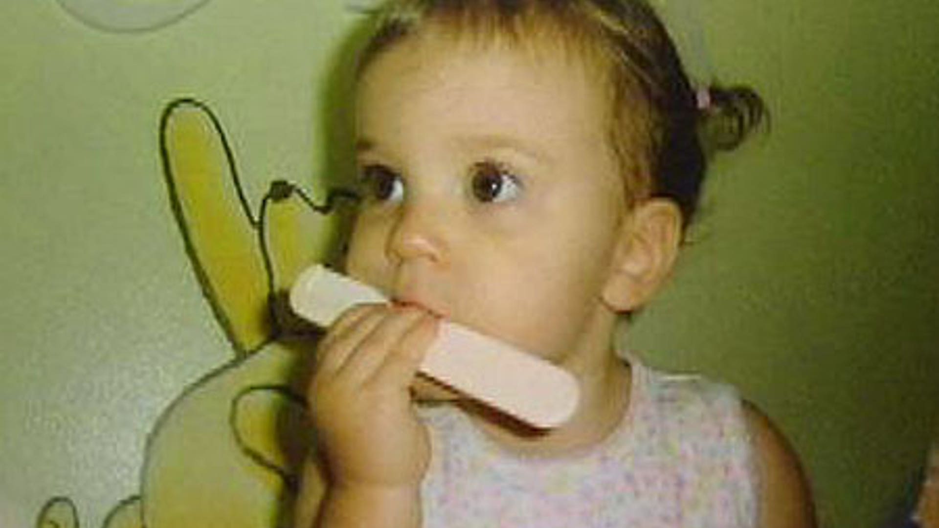 Timeline: Caylee Anthony Case | Fox News