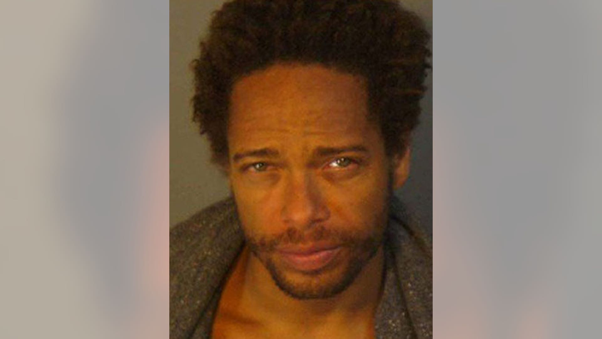 Celebrity mug shots Fox News
