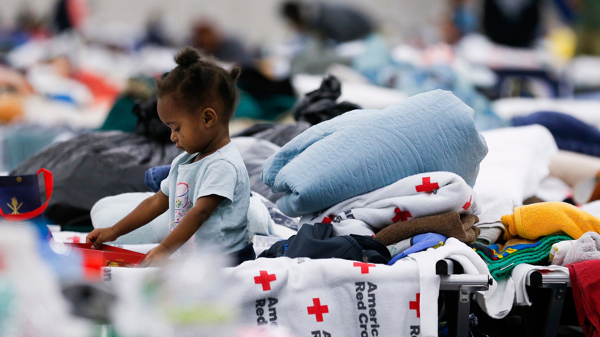 Zyreanna Richards, 1, plays on a cot at the George R. Brown Convention Center, Wednesday, in Houston