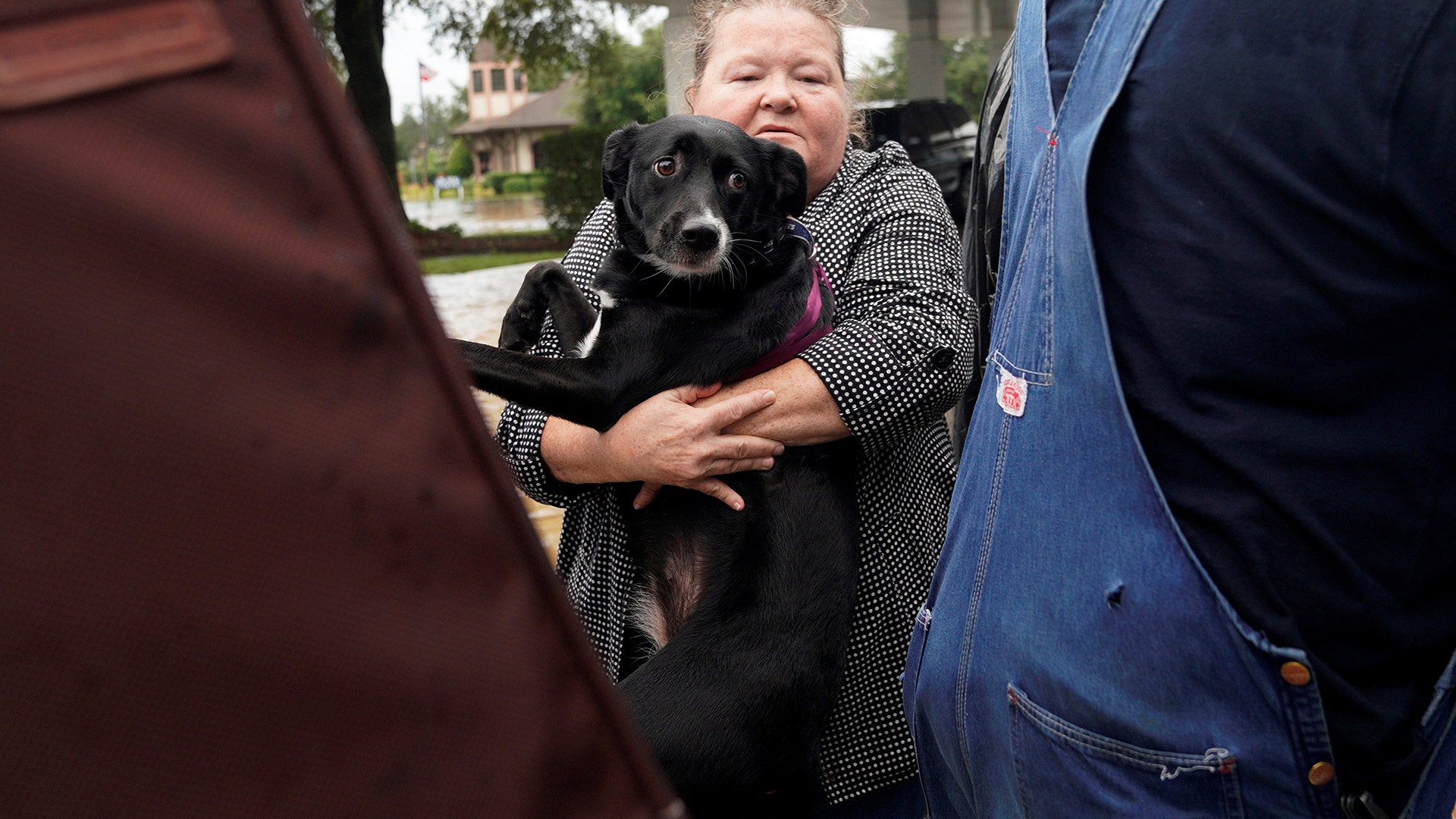 A woman carries her dog into a truck to evacuate from flood waters from Hurricane Harvey in Dickinson, Texas, Sunday