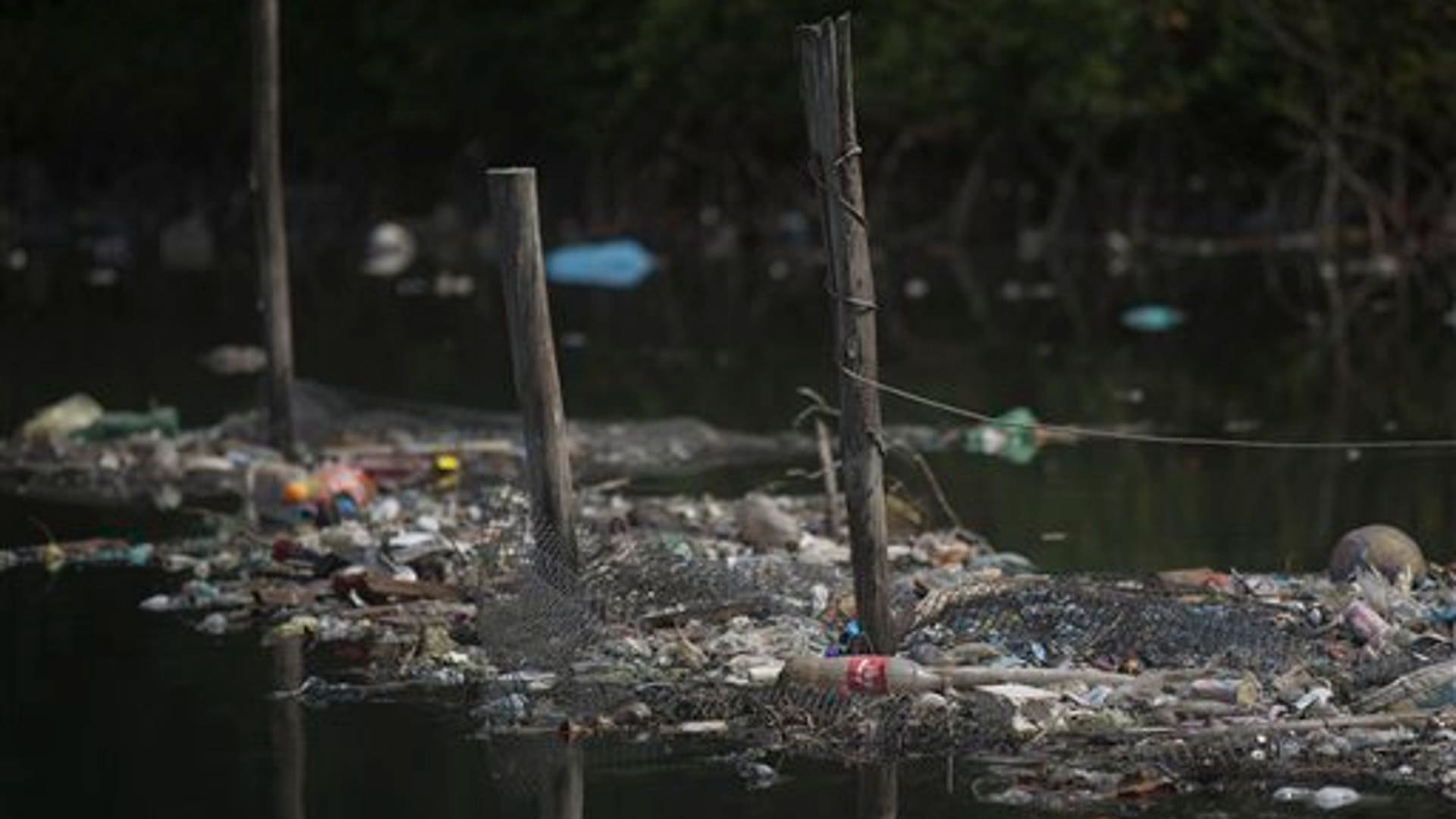Brazil_Polluted_Bay_P_Garc__1_