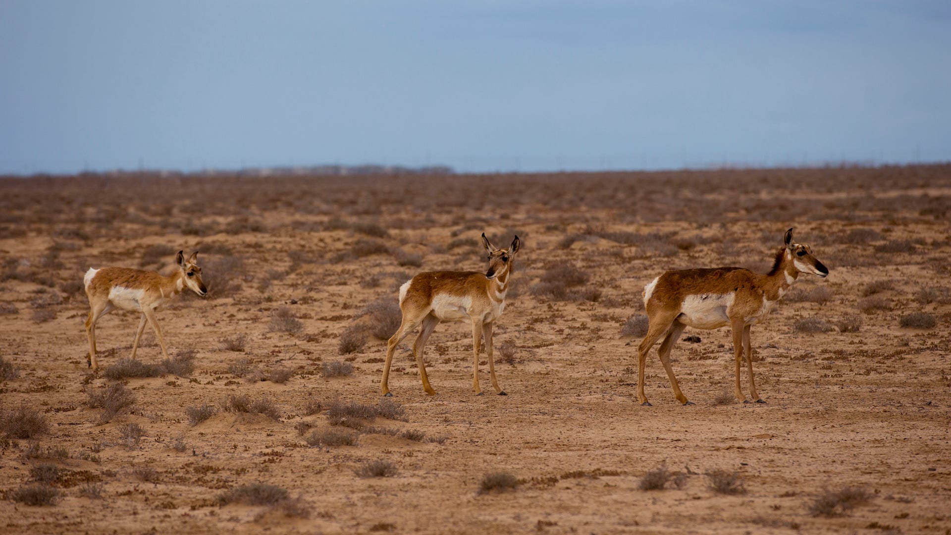 Mexico_Baja_Tourism__11_