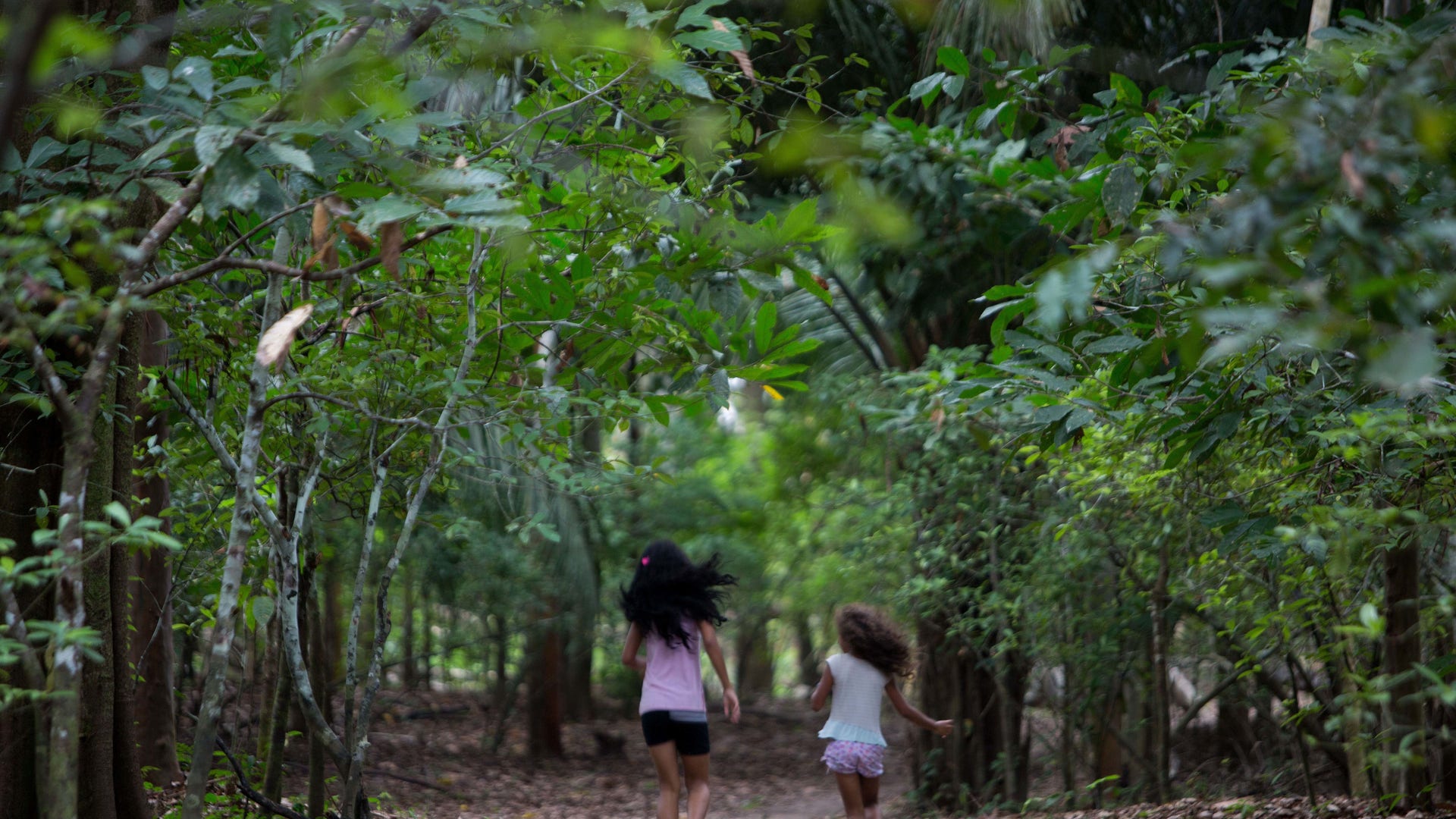 Brazil_Ayahuasca_Phot_Vros__16_