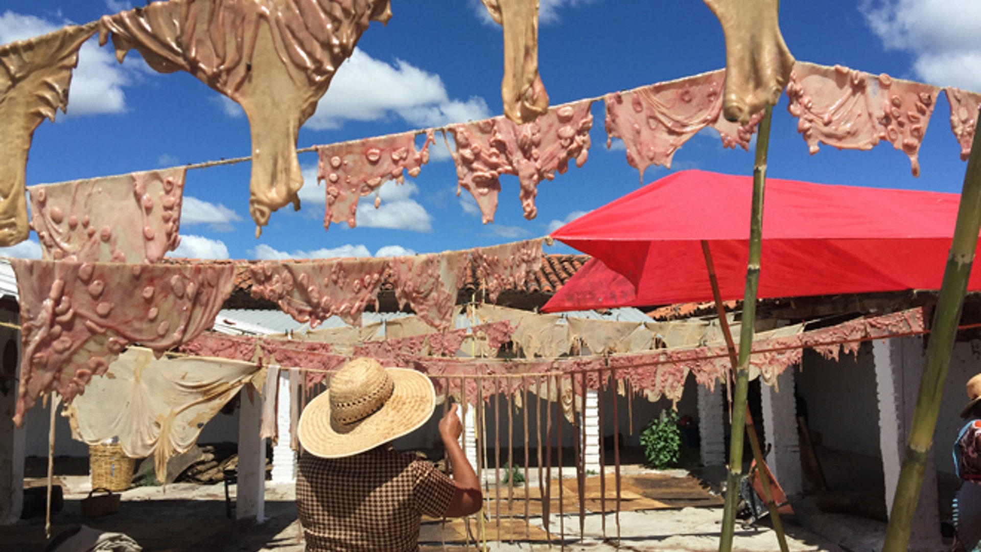 Goat_udders_hung_Latino