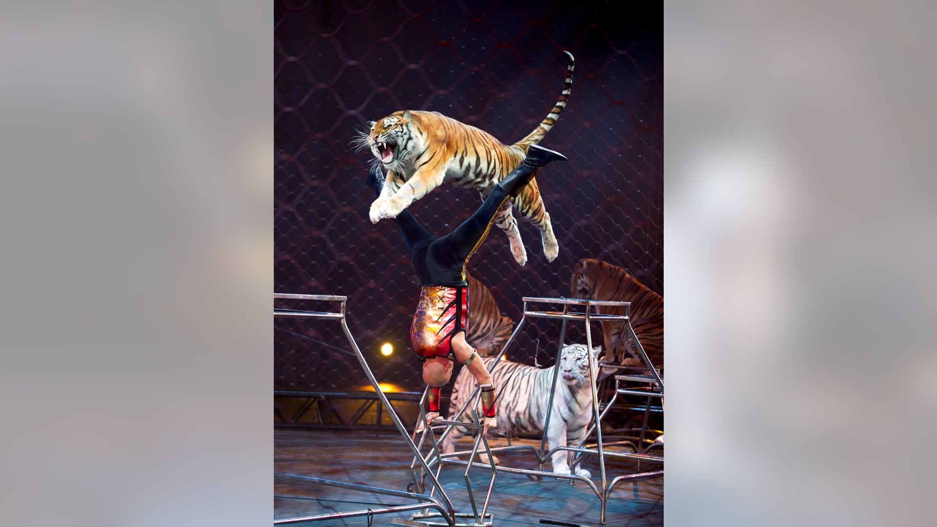 141_20101230_00805_Edit2