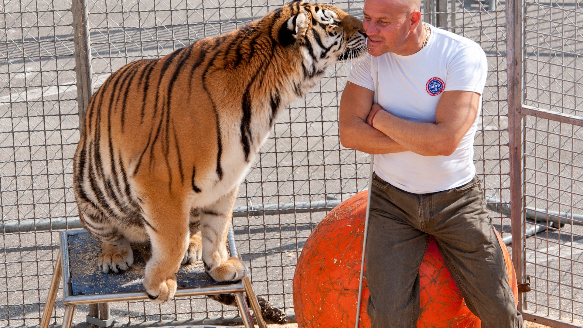 141_20110105_00130_Edit1