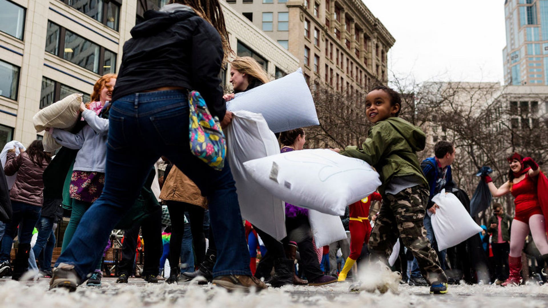 Ground Full of Feathers