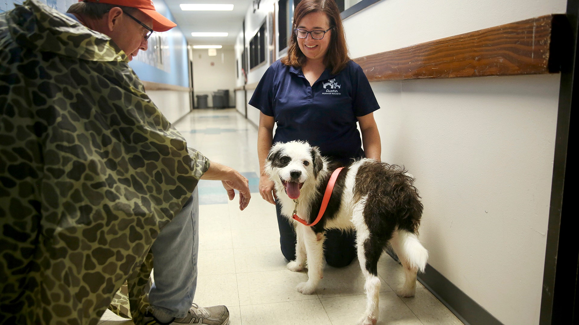 Puddin, a dog transported to Austin Humane Society from Beaumont Animal Services is greeted at the shelter in Austin, Saturday