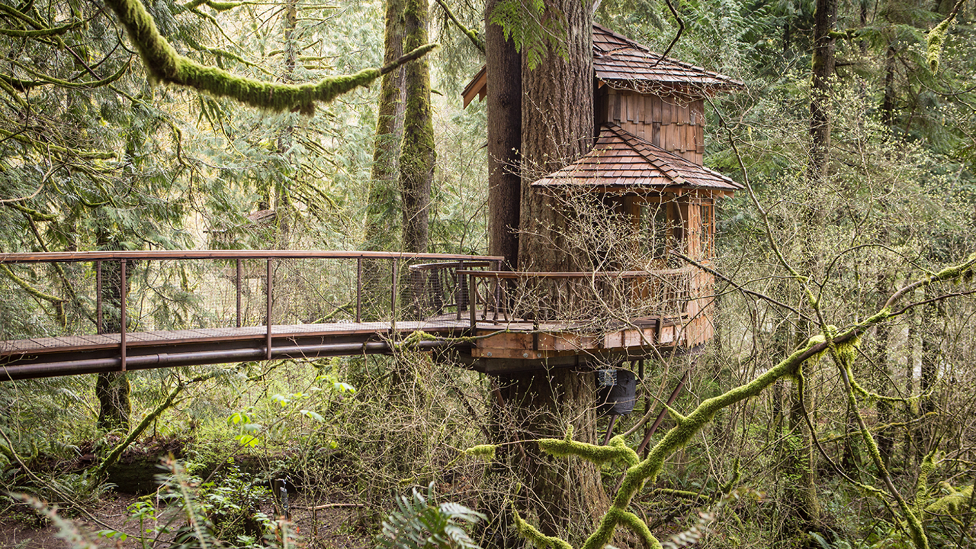 TreeHouse Point, Fall City, Wash.