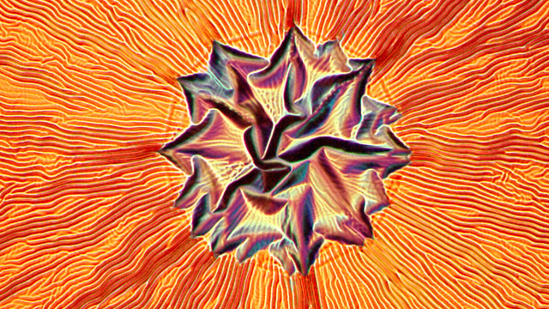 3. Wrinkled Seimiconductor