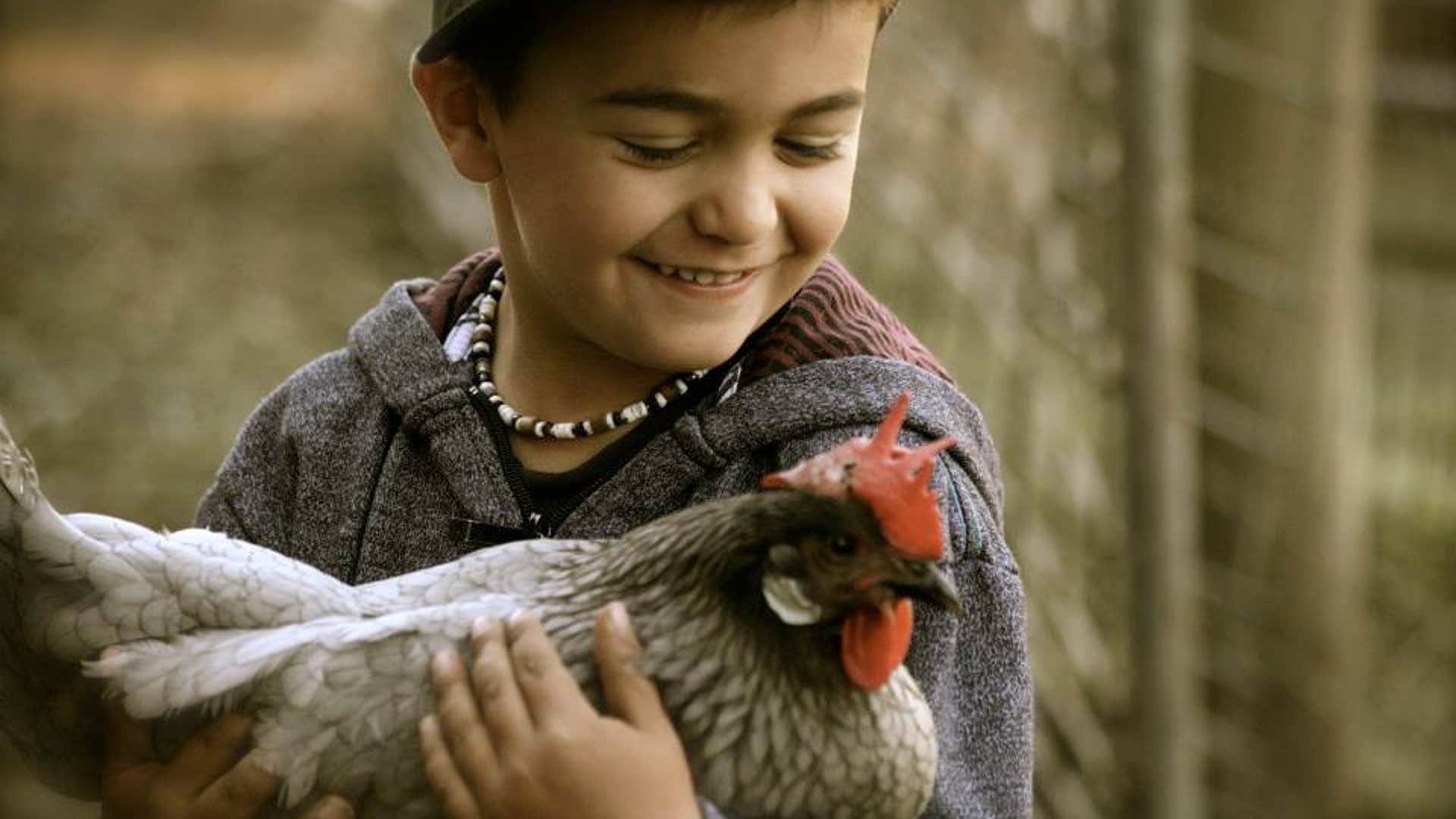 Life on the Farm Camp