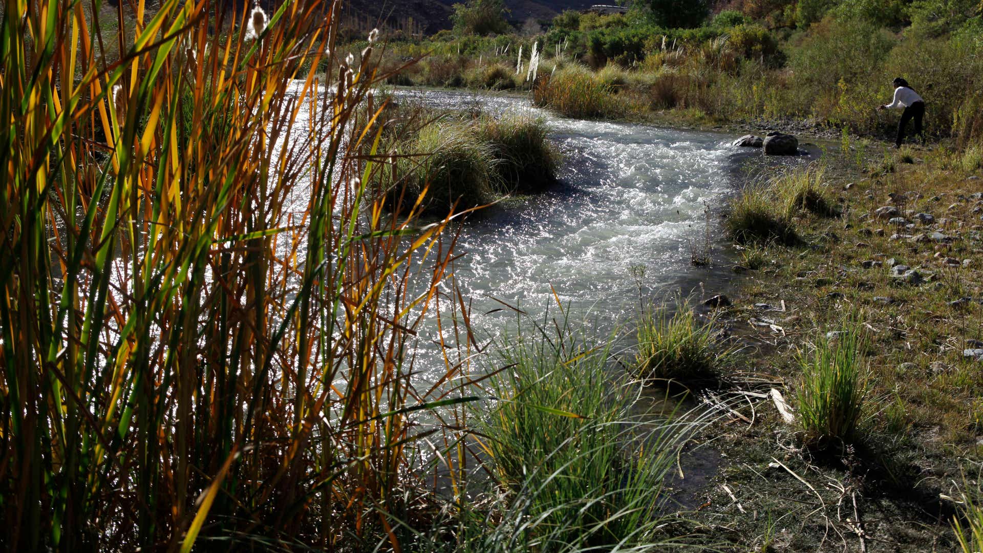 Chile_Barrick_Gold__9_