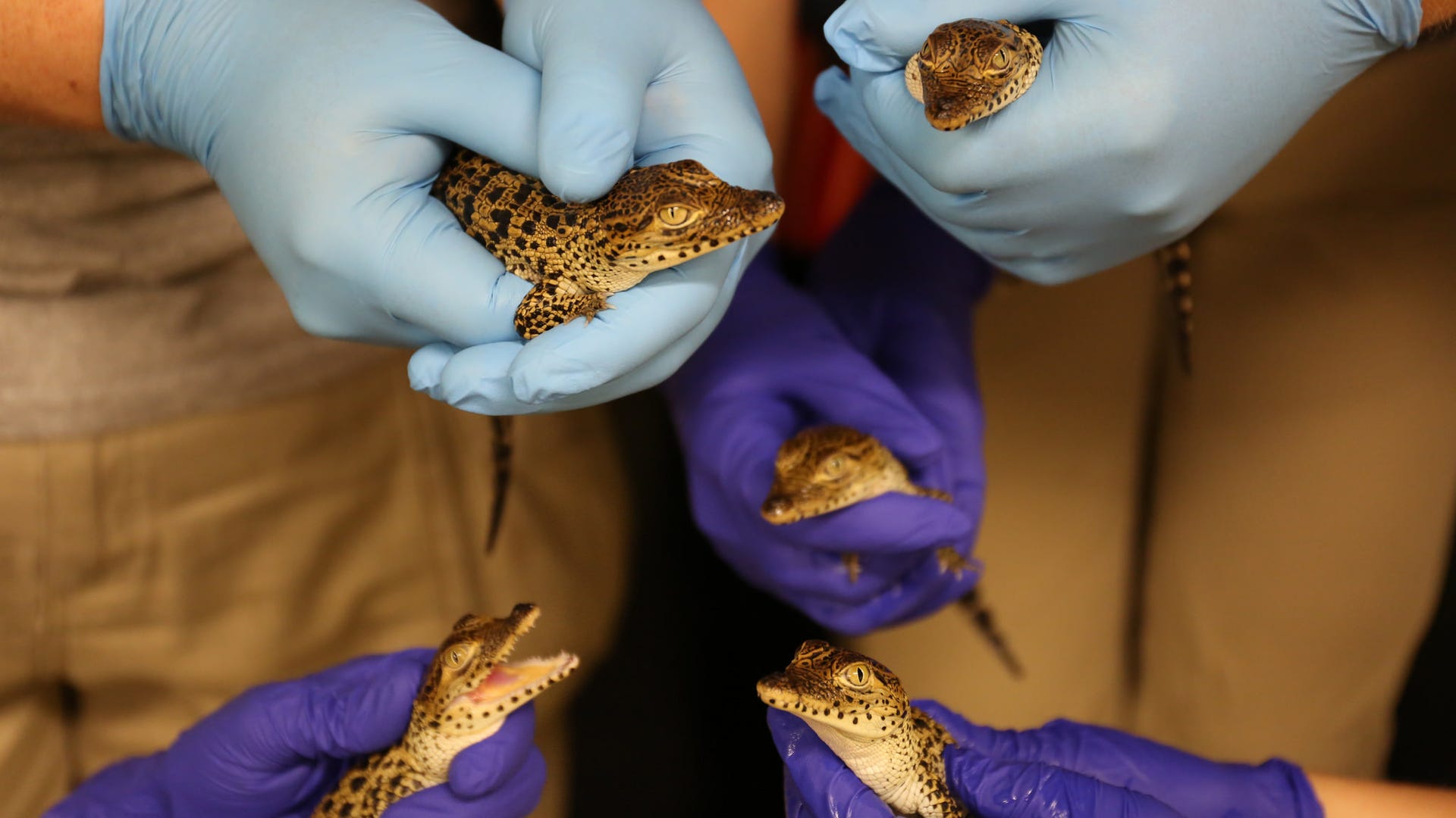 19893839283_12d67c93ac_k