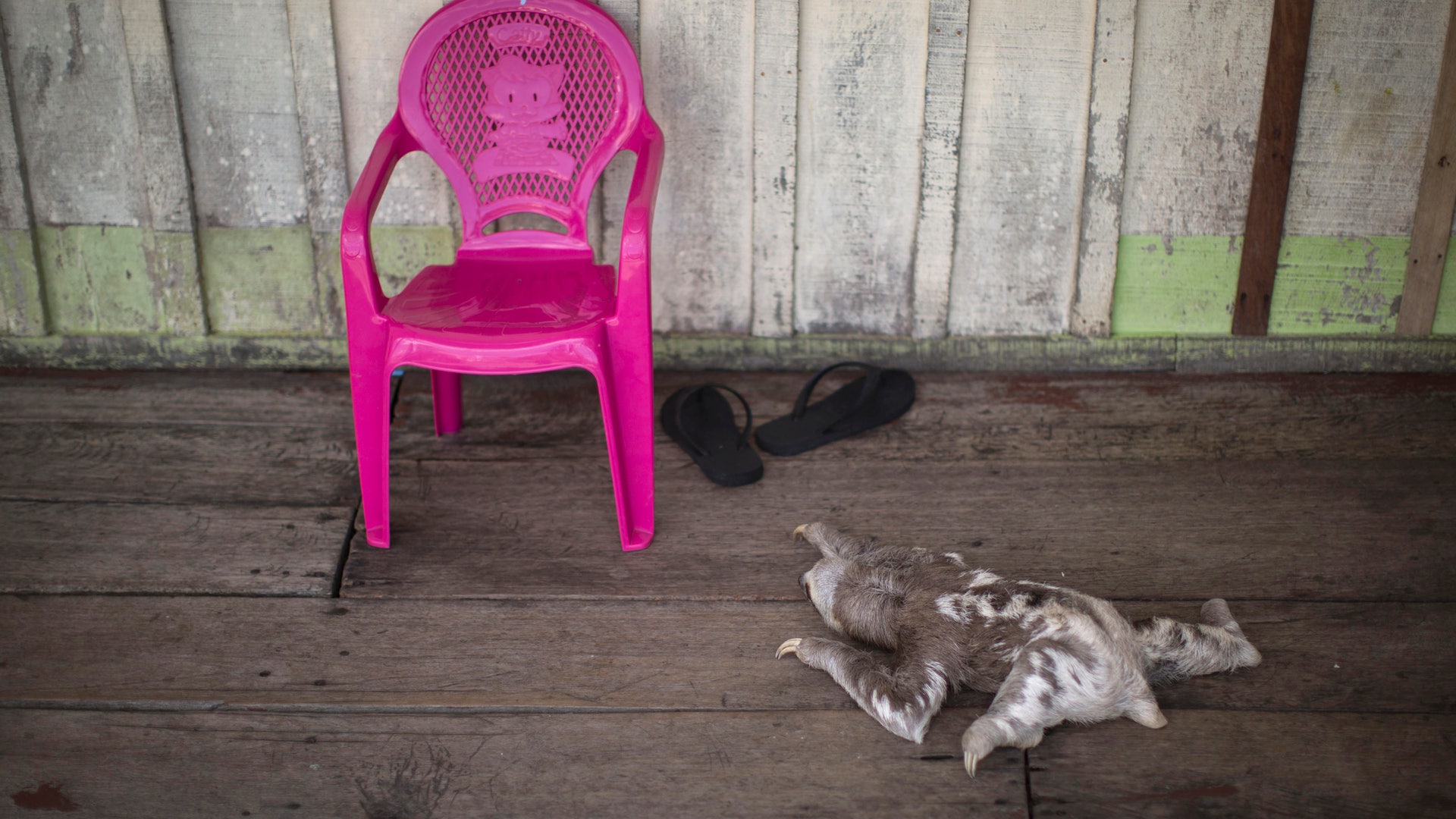 Brazil_WCup_Amazon_An_Vros