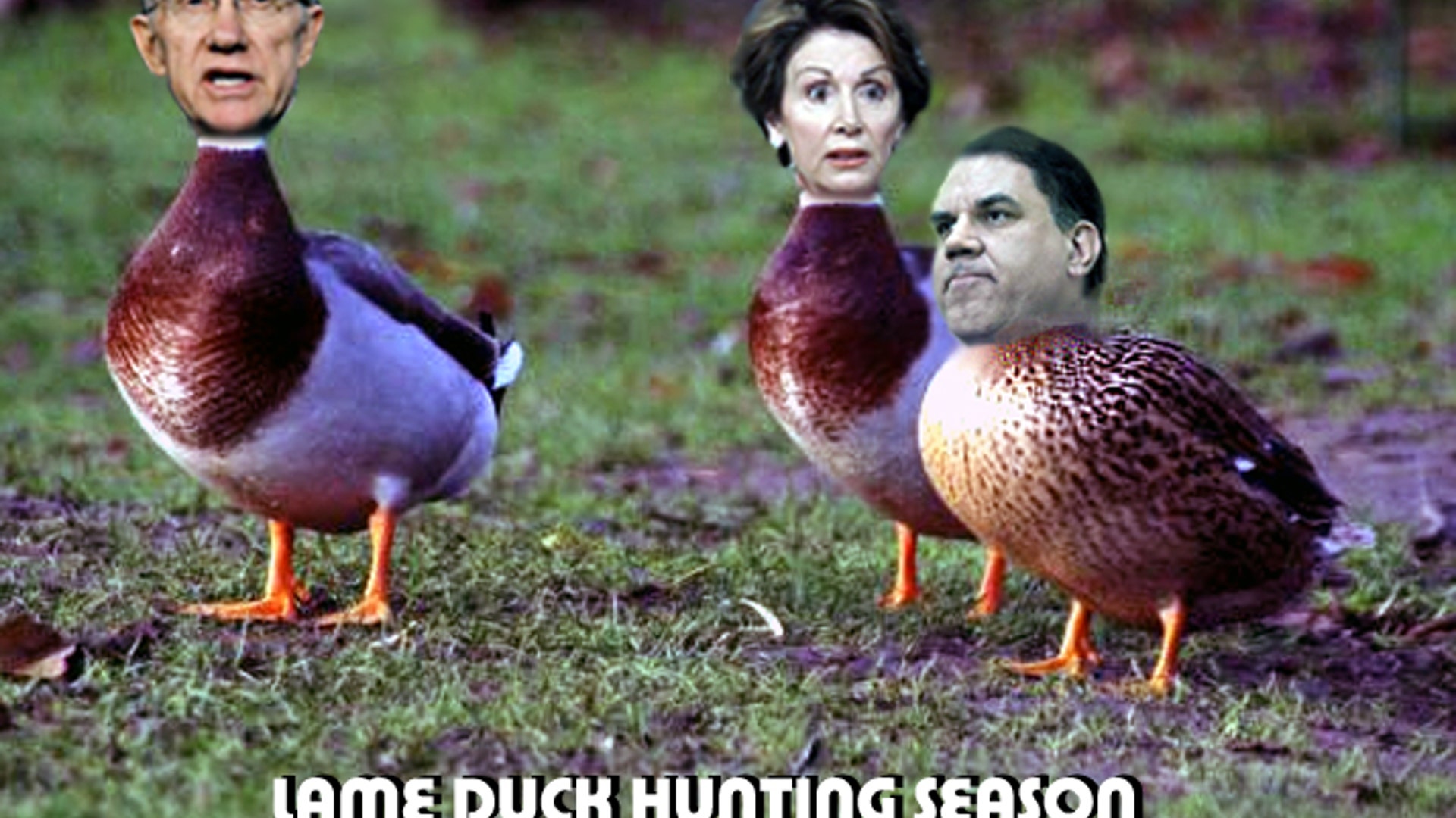 YOUR Take on the 'Lame Duck' Congress