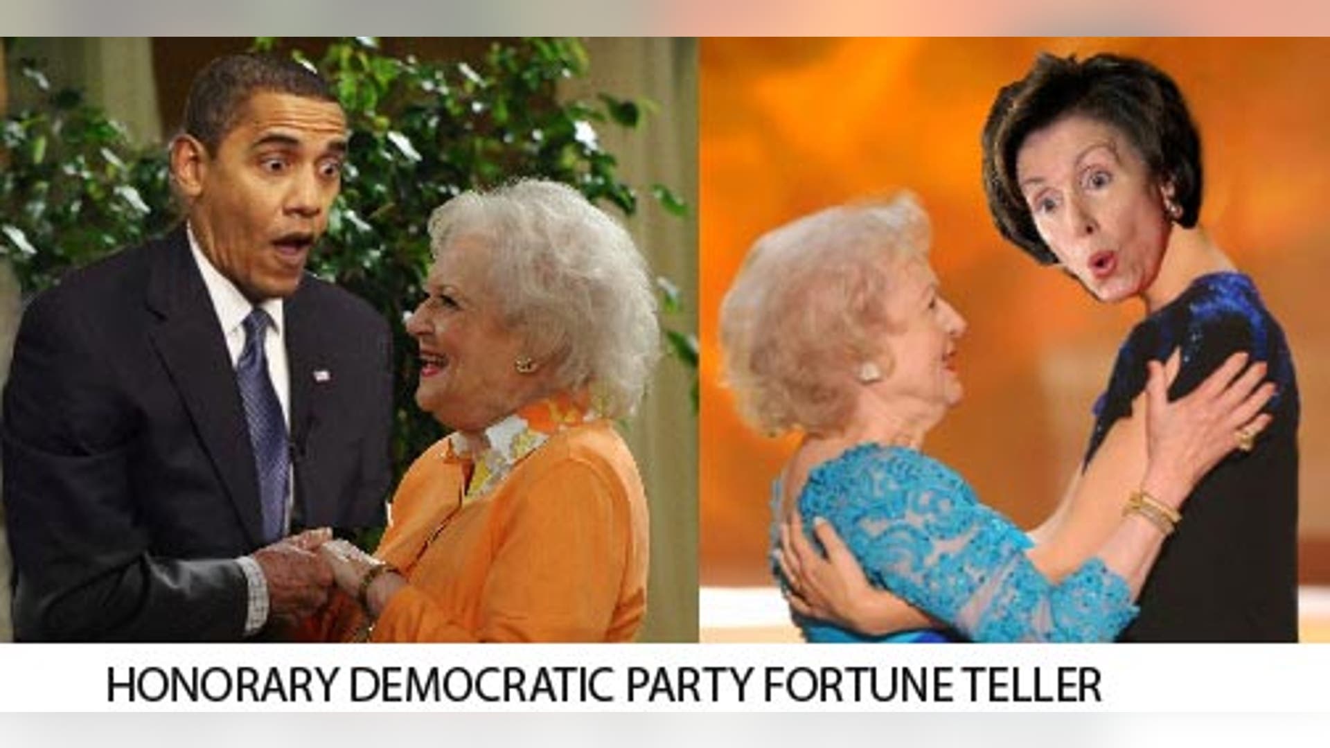 Betty White's Honorary Jobs