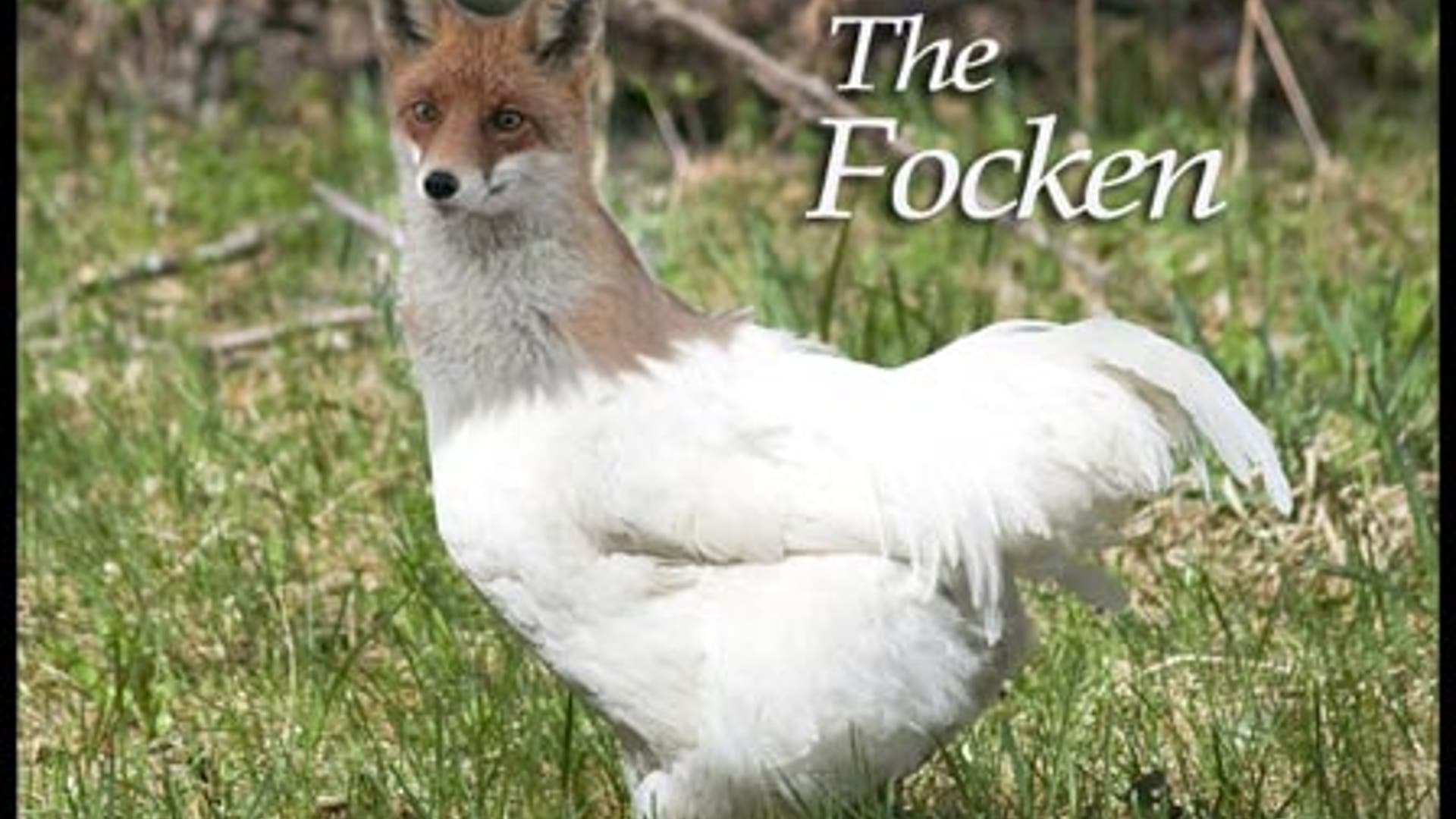 Animal Hybrids We'd Like to See