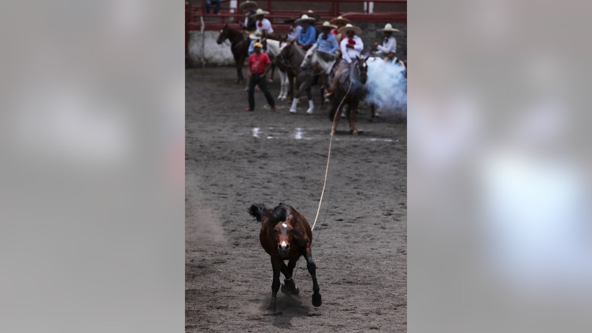 Mexico_Charro_Culture__16_