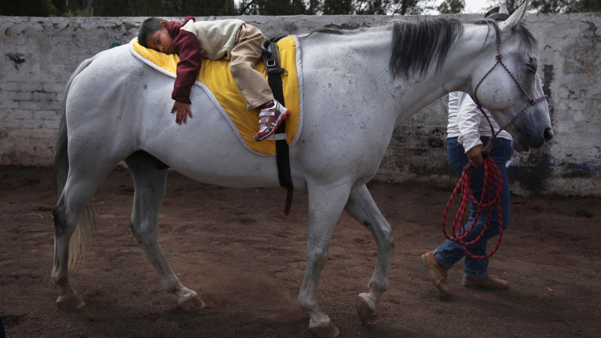 Mexico_Charro_Culture__20_