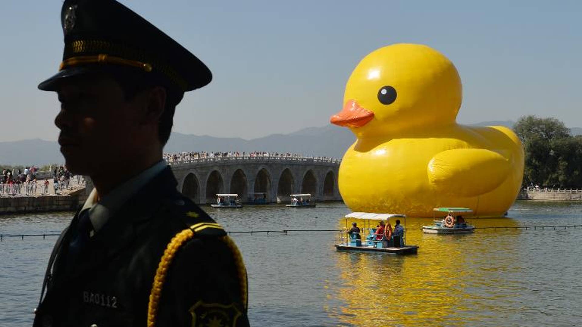 Palace duck
