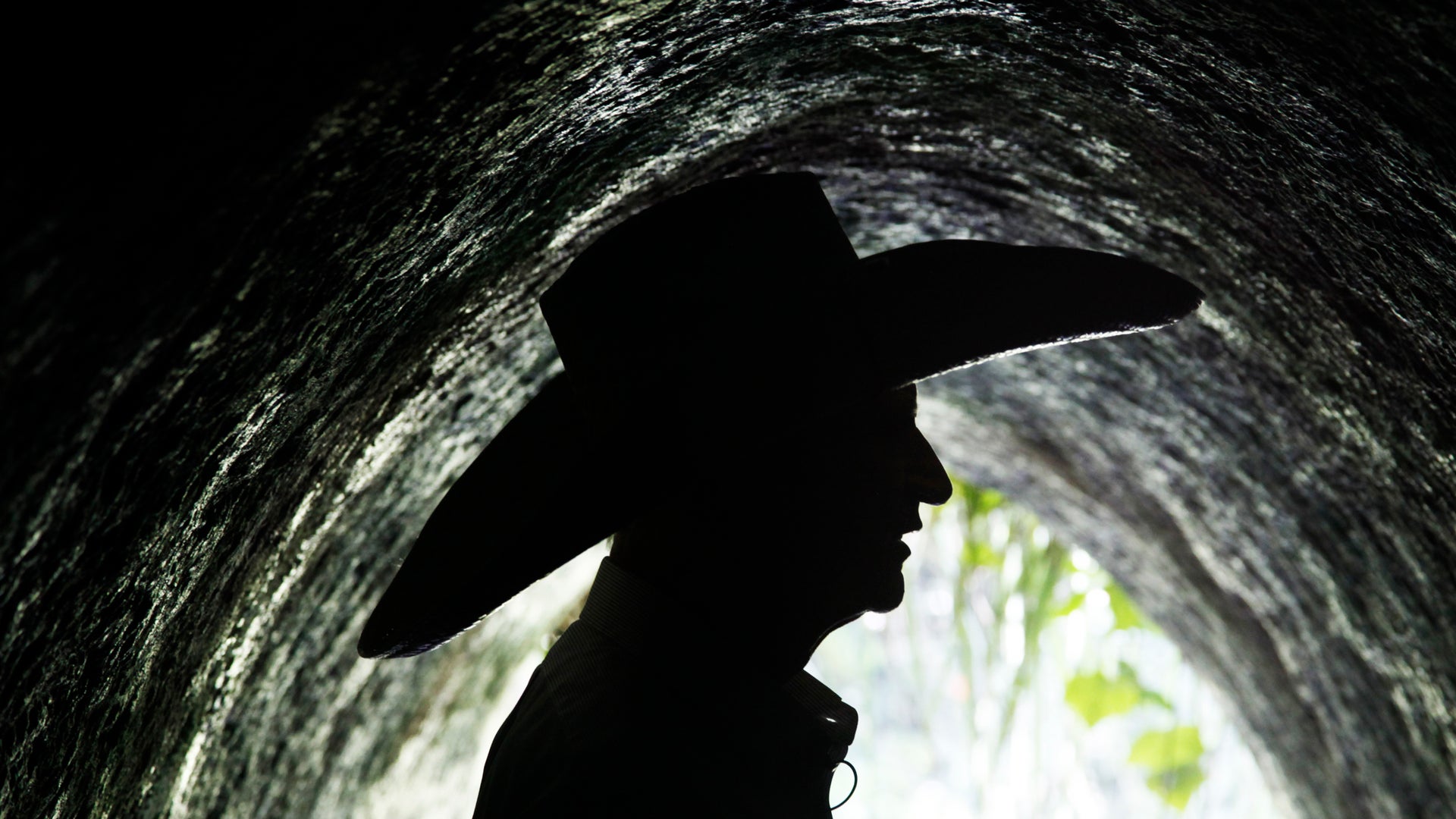 Mexico_Organic_Archit_Vros__1_