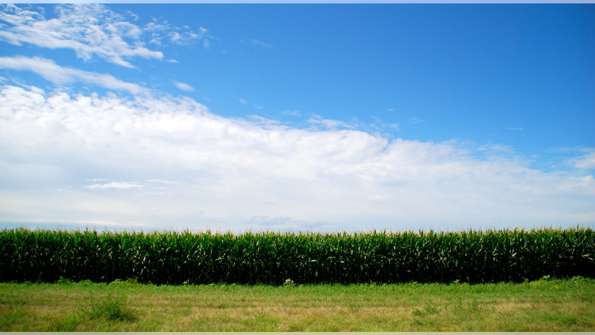 South_Georgia_Farmworker_Health_Project__12_