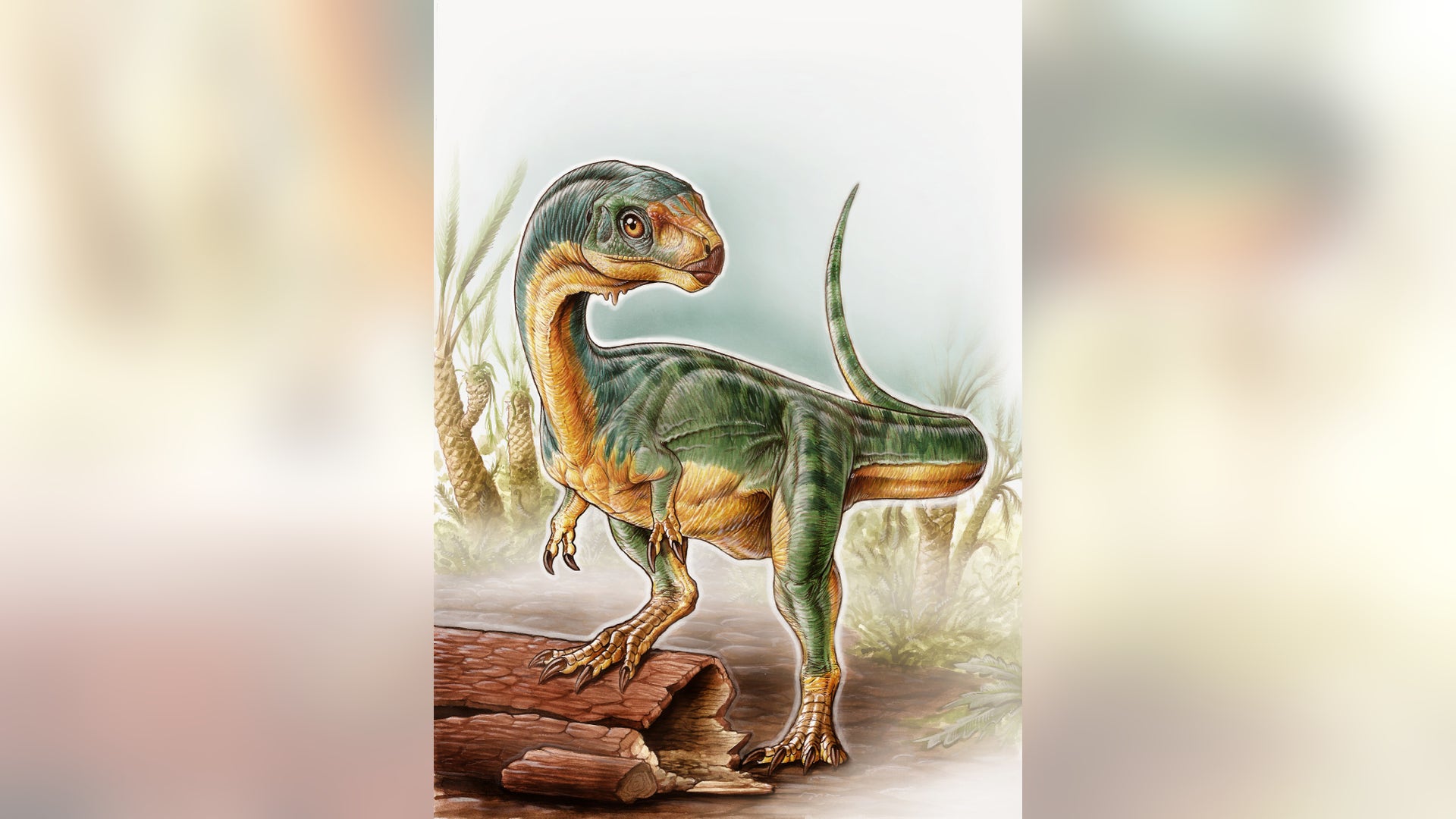 2_Chilesaurus_diegosuarezi____Gabriel_L_o_