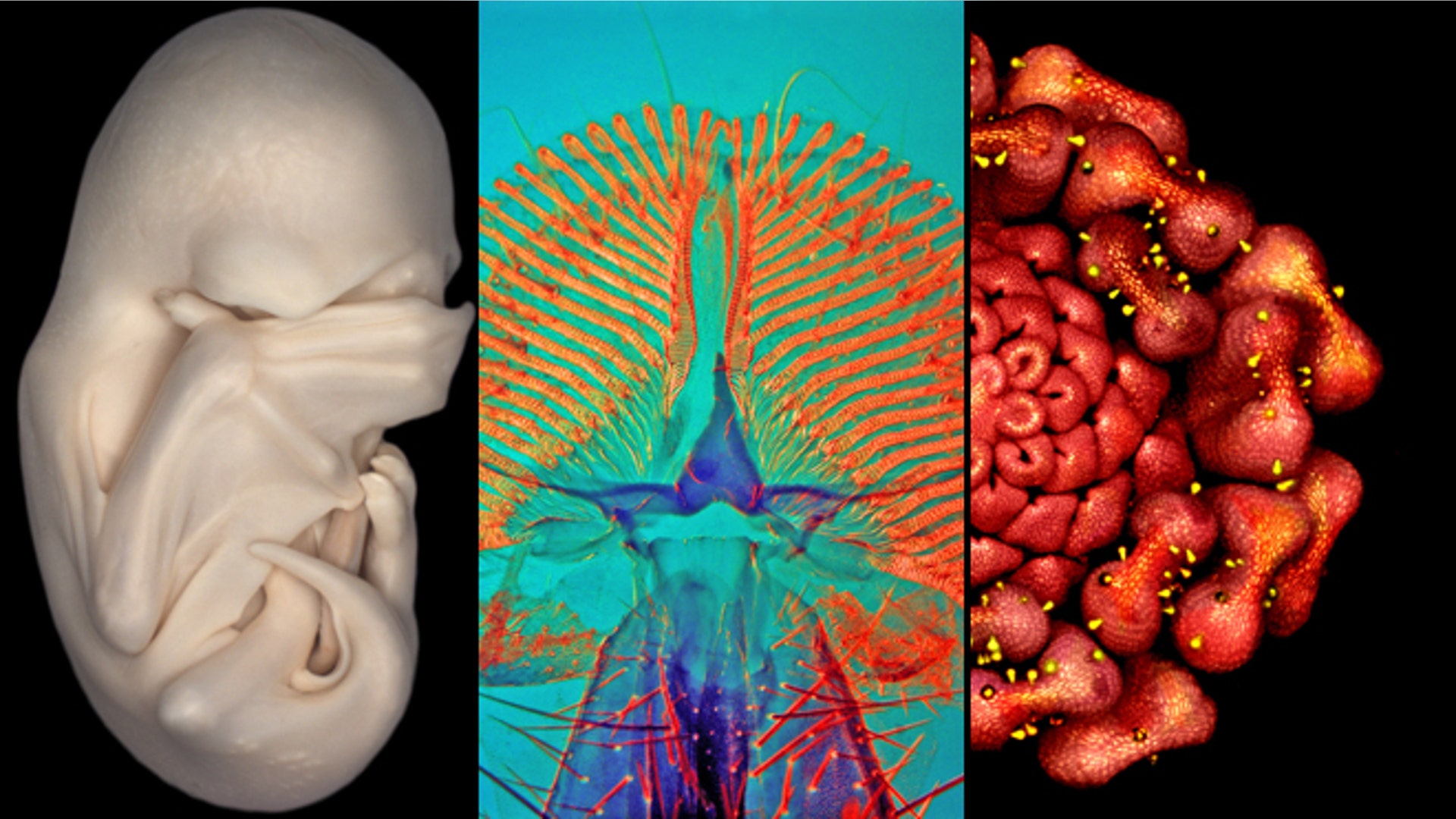 And the winners are...