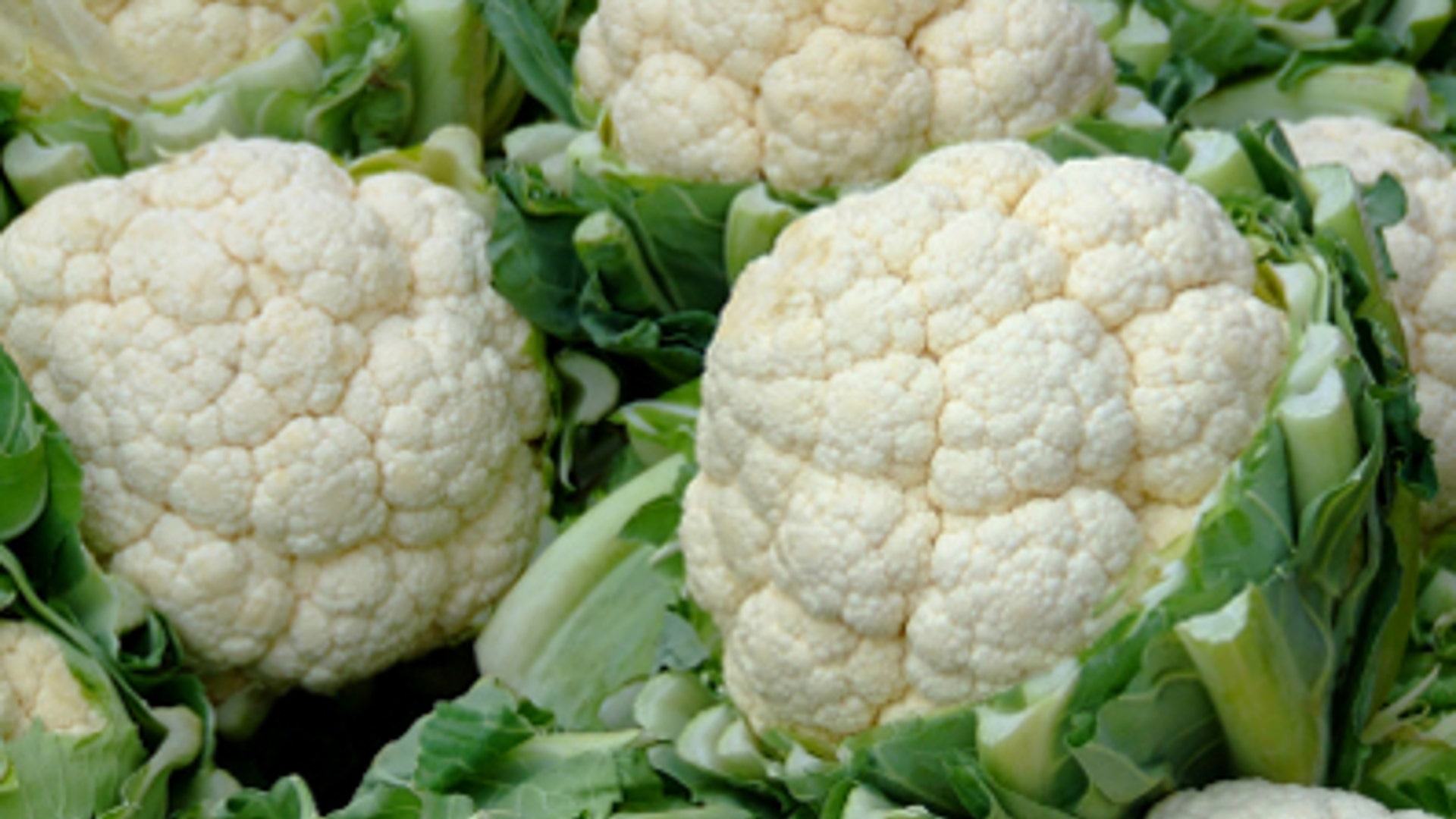 cauliflower_397