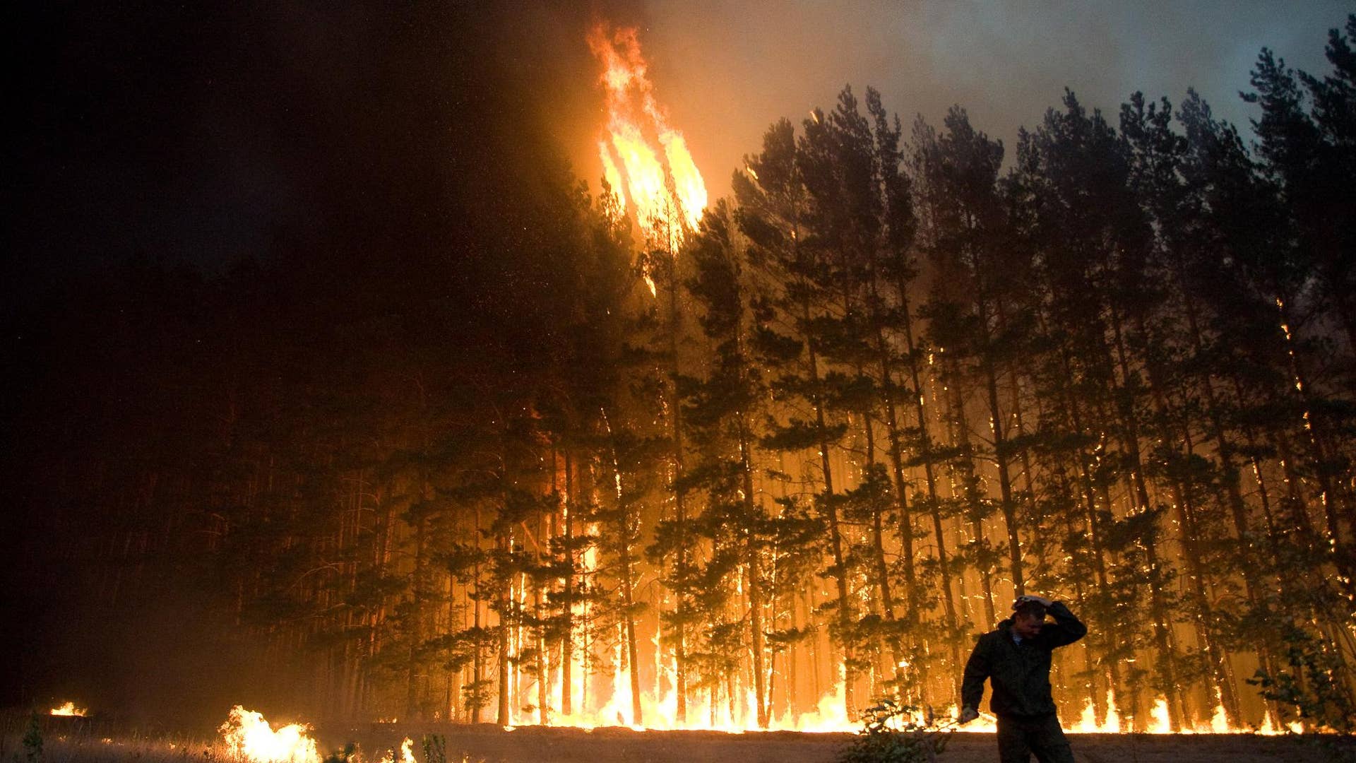 Пожар лета 2010. Лес в огне.