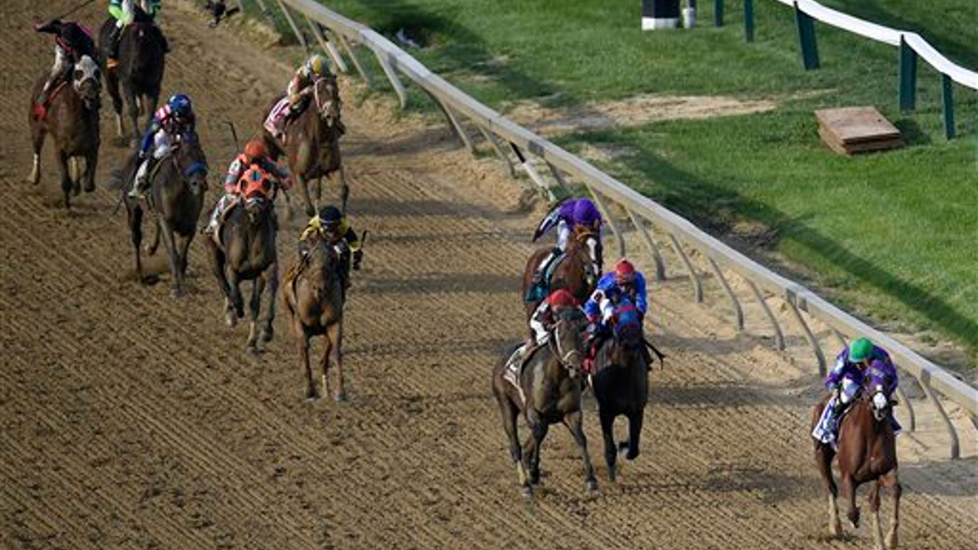 California_Chrome_19