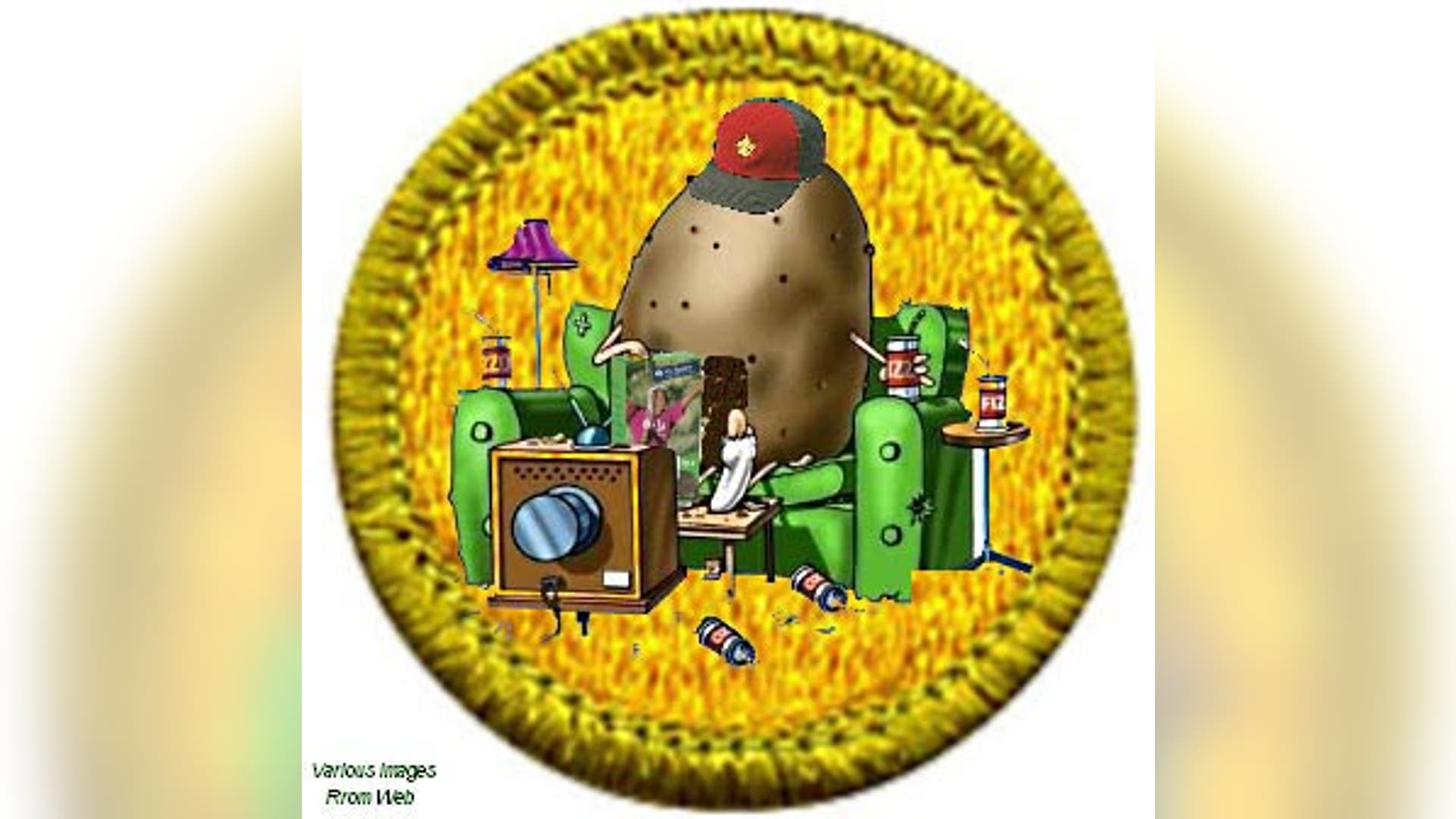 New Boy Scout Awards