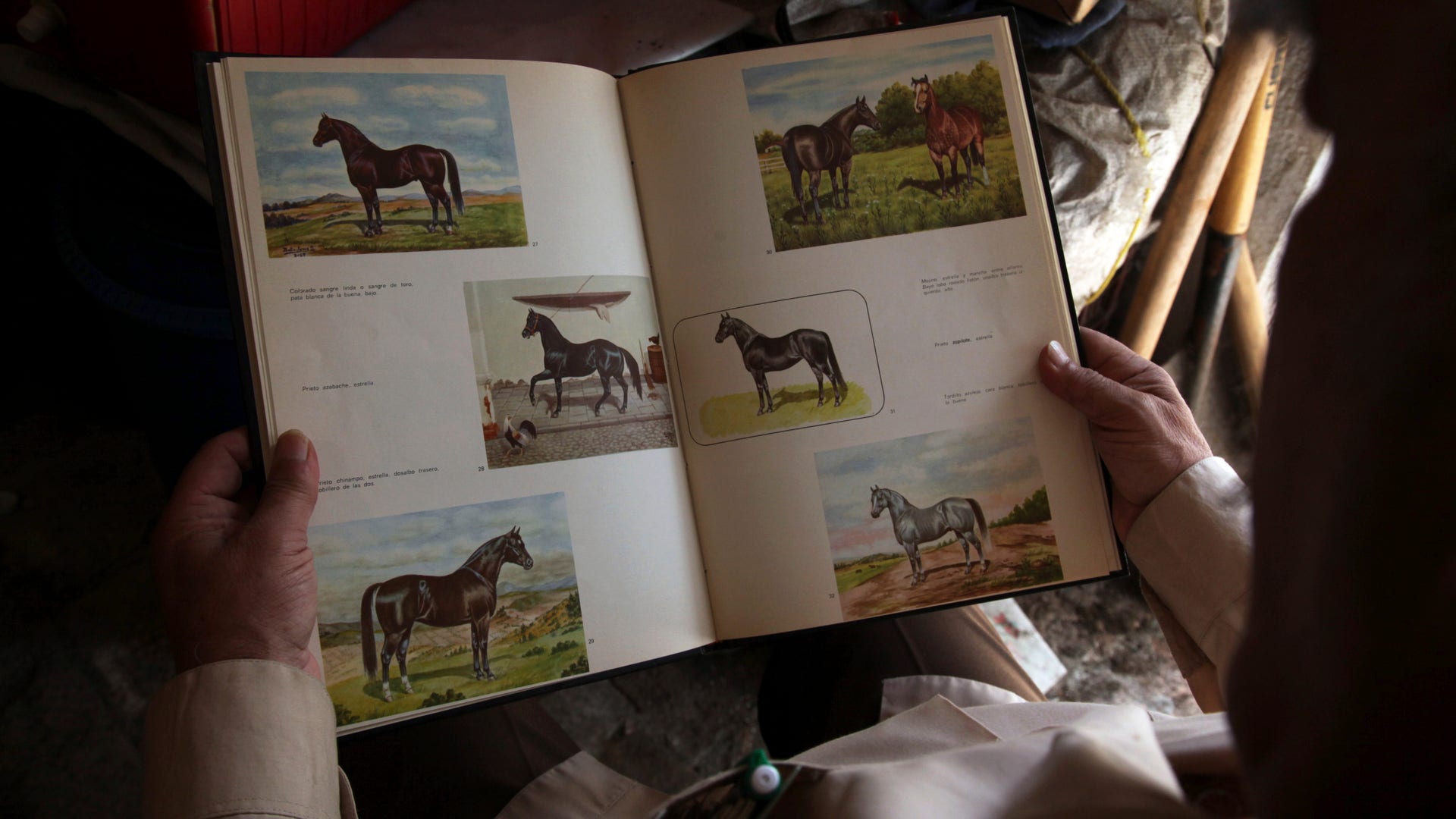 Mexico_Charro_Culture__13_