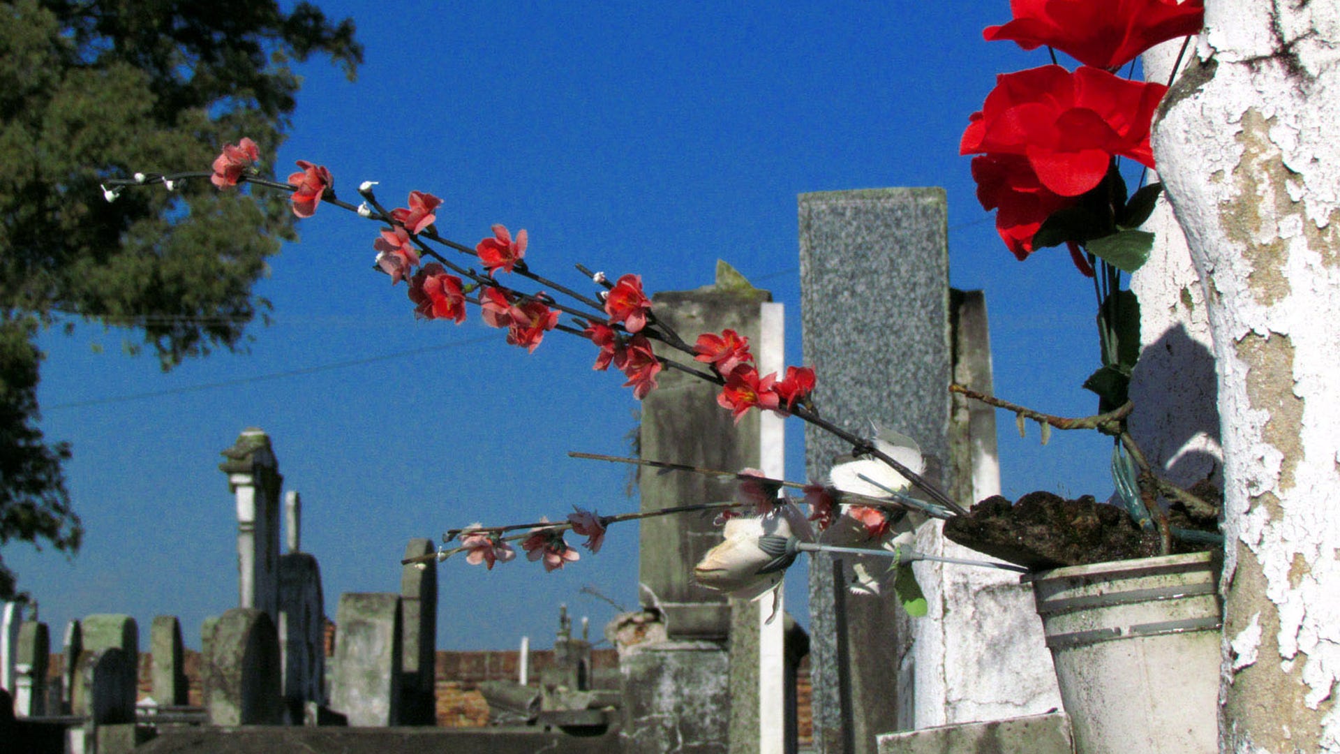 basavilbaso_cemetary__2_