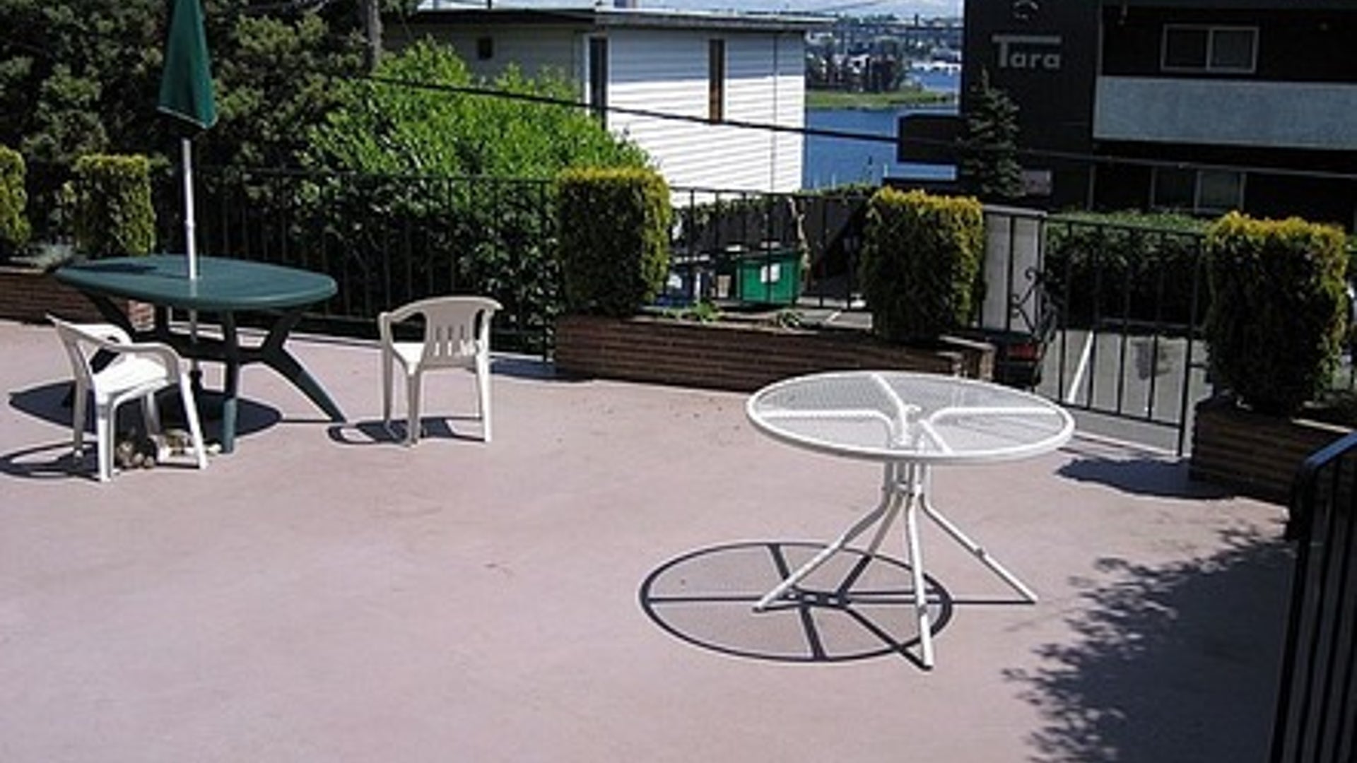 2441_8th_Ave_N_Apt_C_Seattle