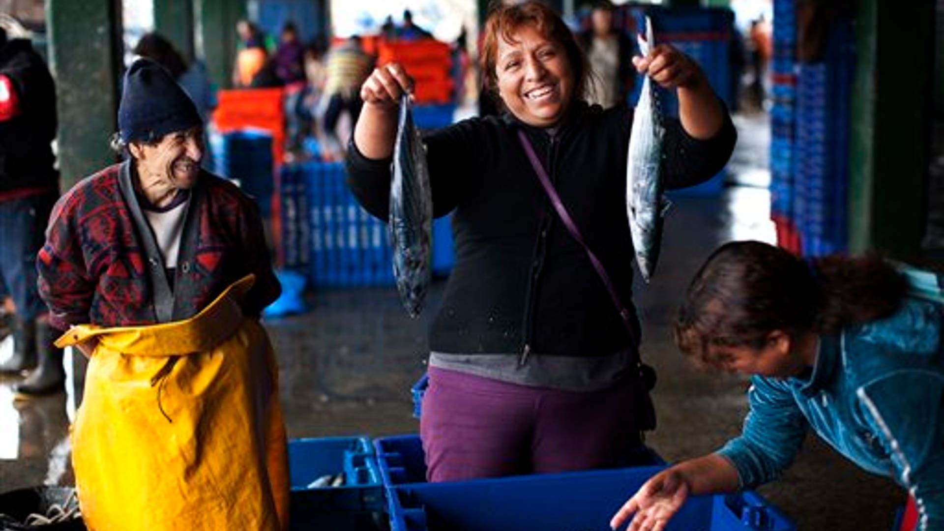 26c74a7f6e16ee24240f6a706700db0c