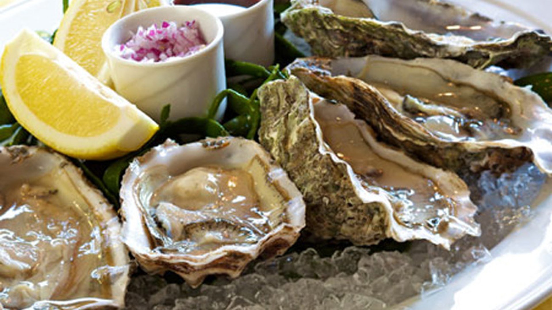 Oysters_650