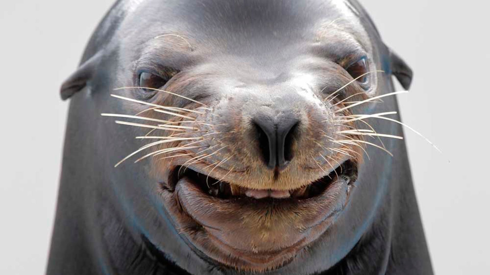 Smile You're on Candid Camera