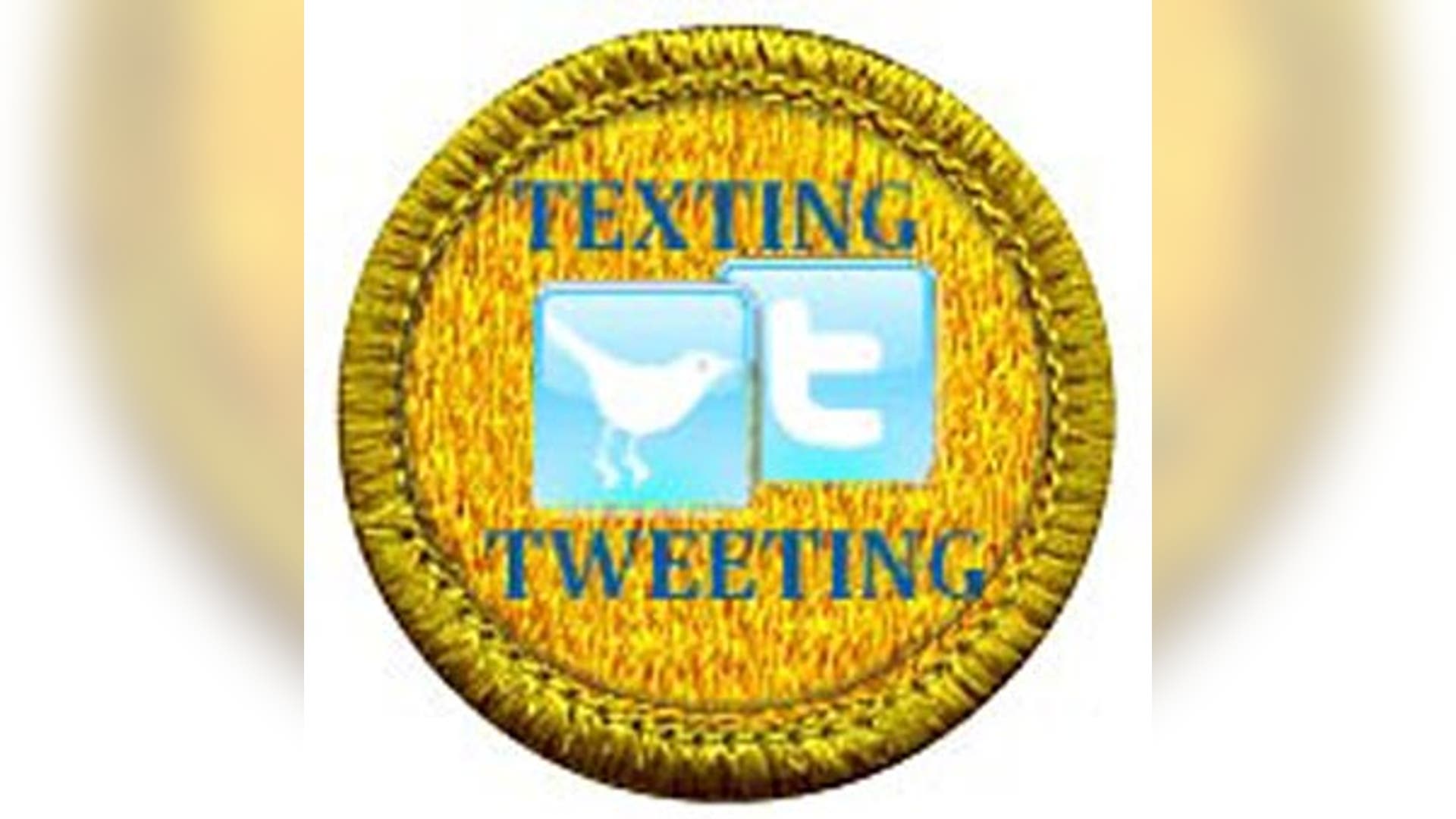 New Boy Scout Awards