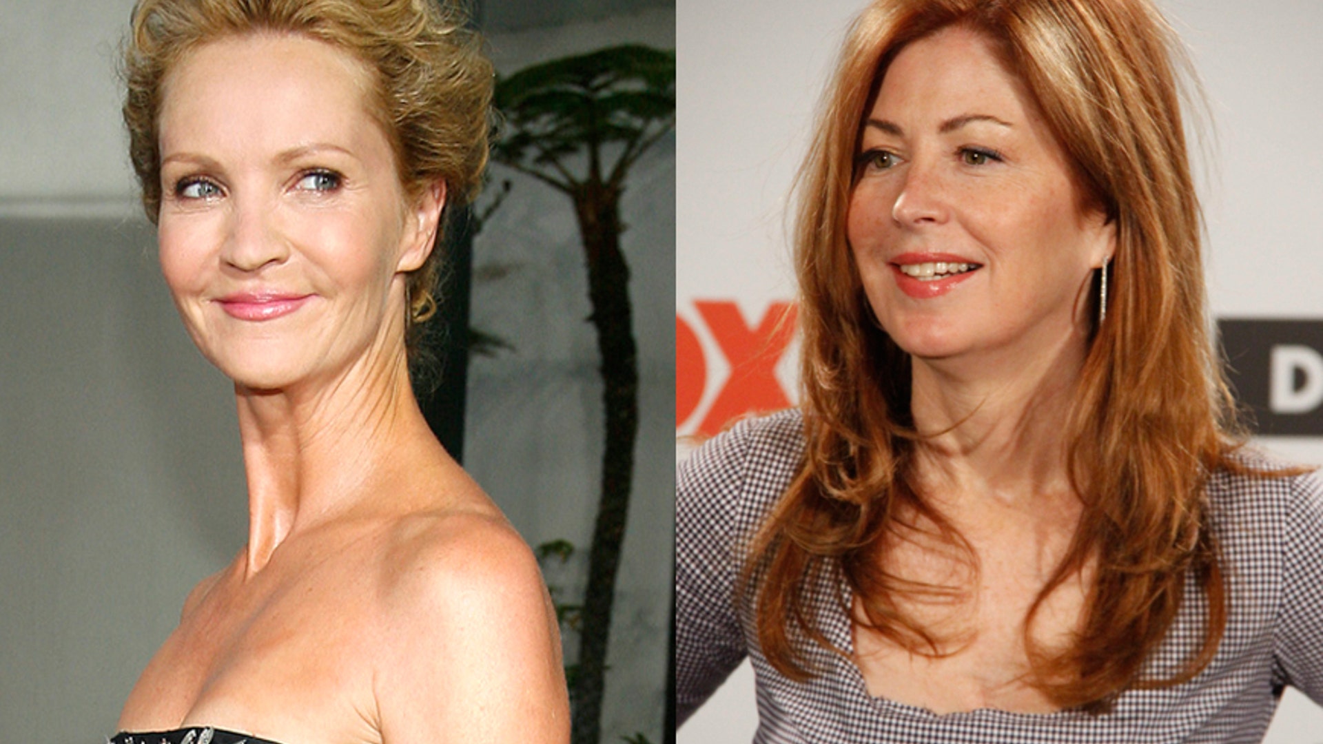 Dana Delaney and Joan Allen