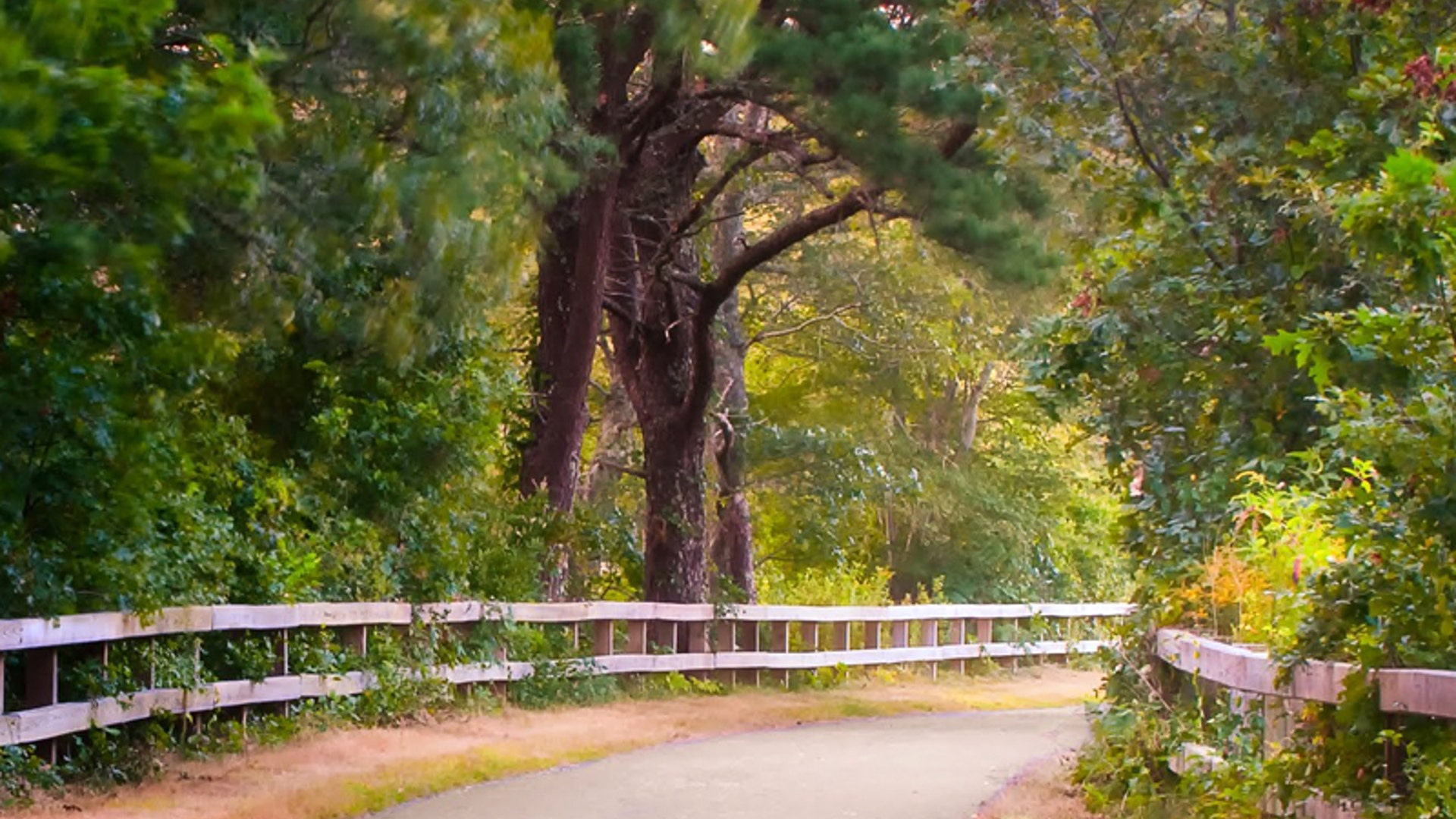 2…Ride the Rail Trail