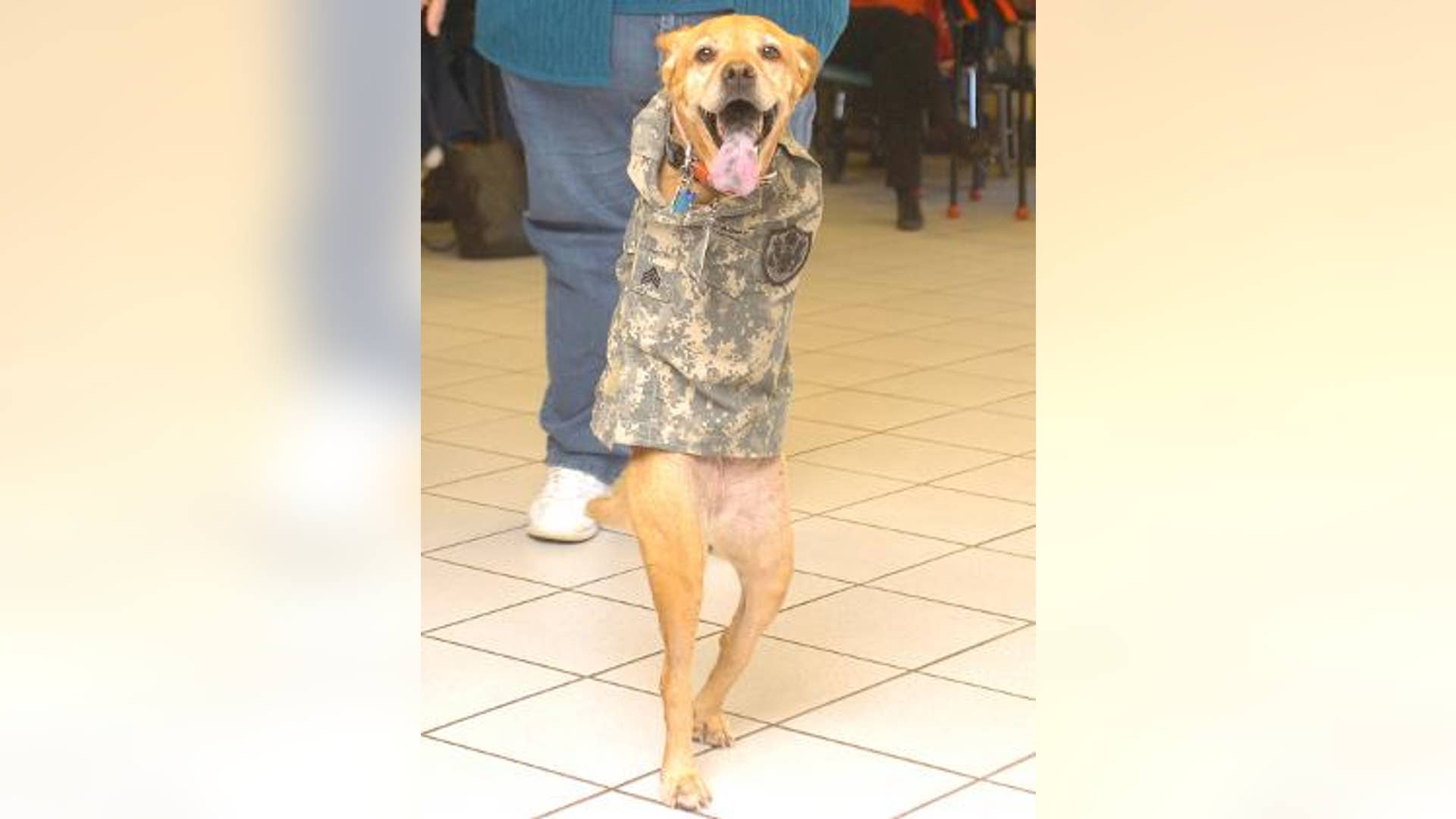 Faith Goes for a Walk