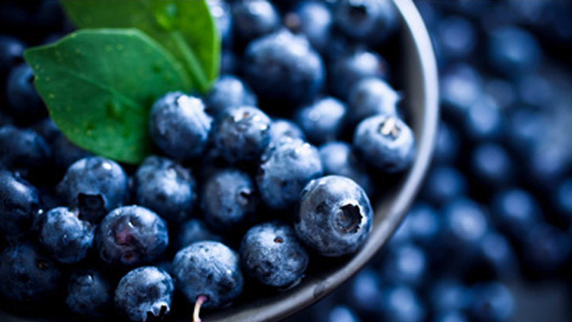 organic_blueberries