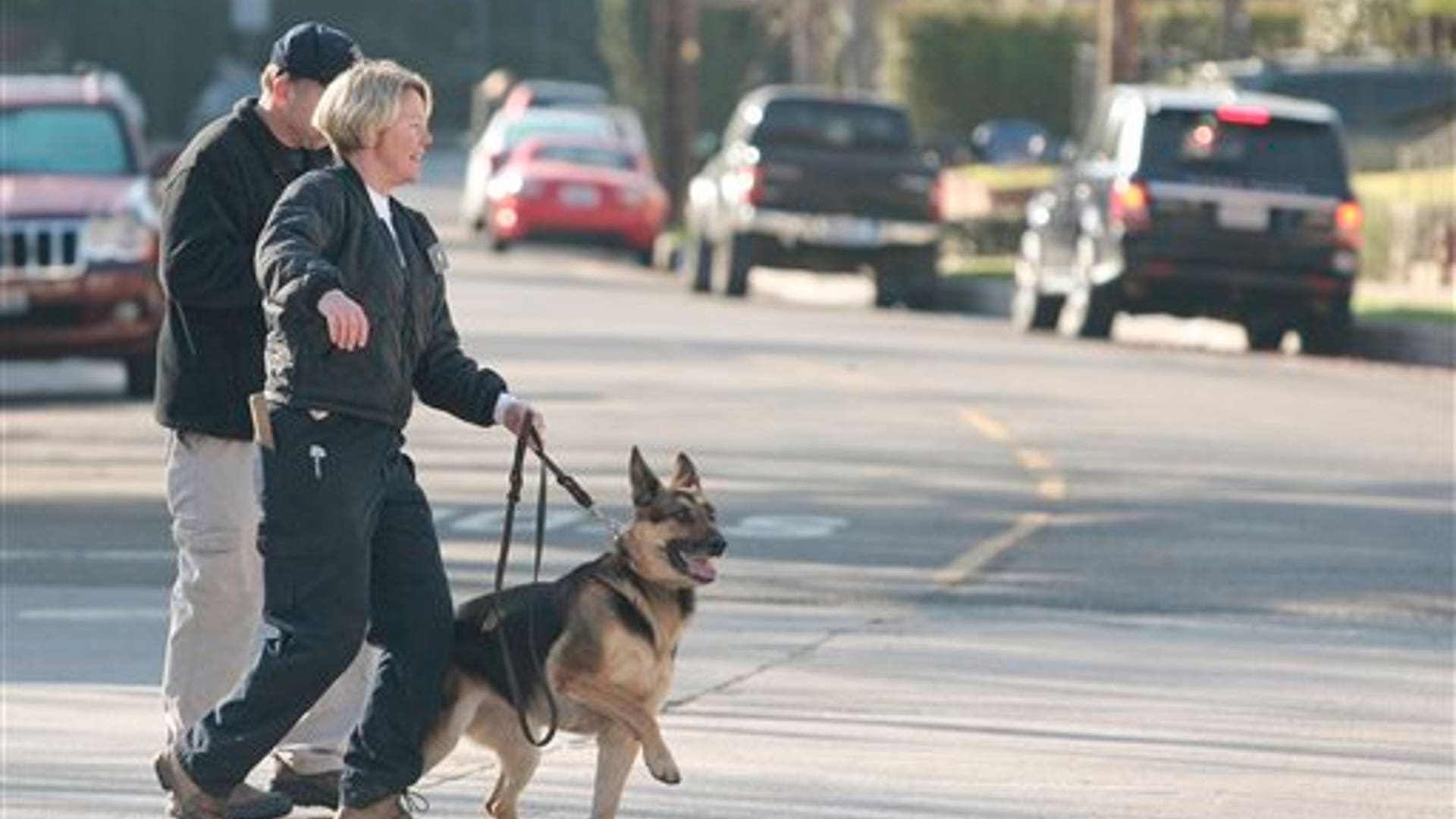 Human Head Found Los Angeles Police