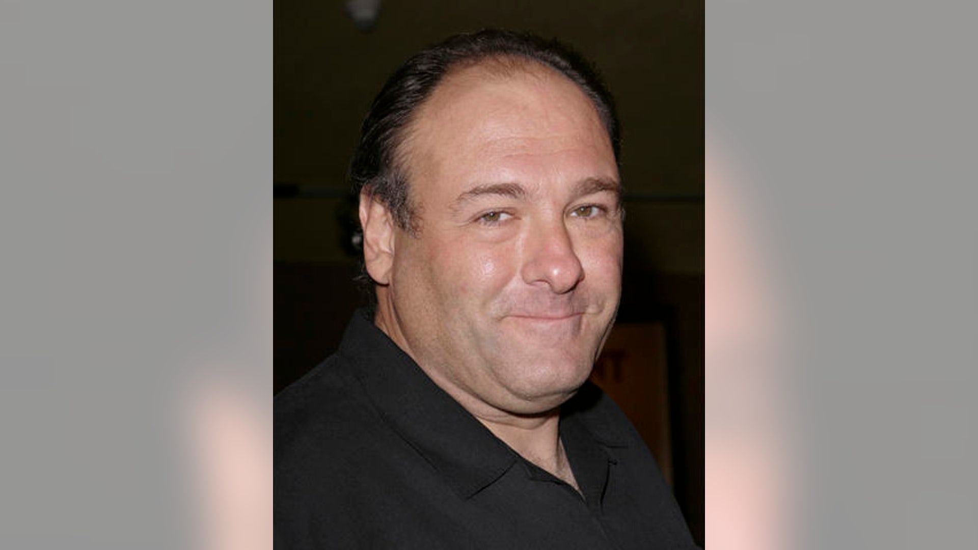 James_Gandolfini_Now