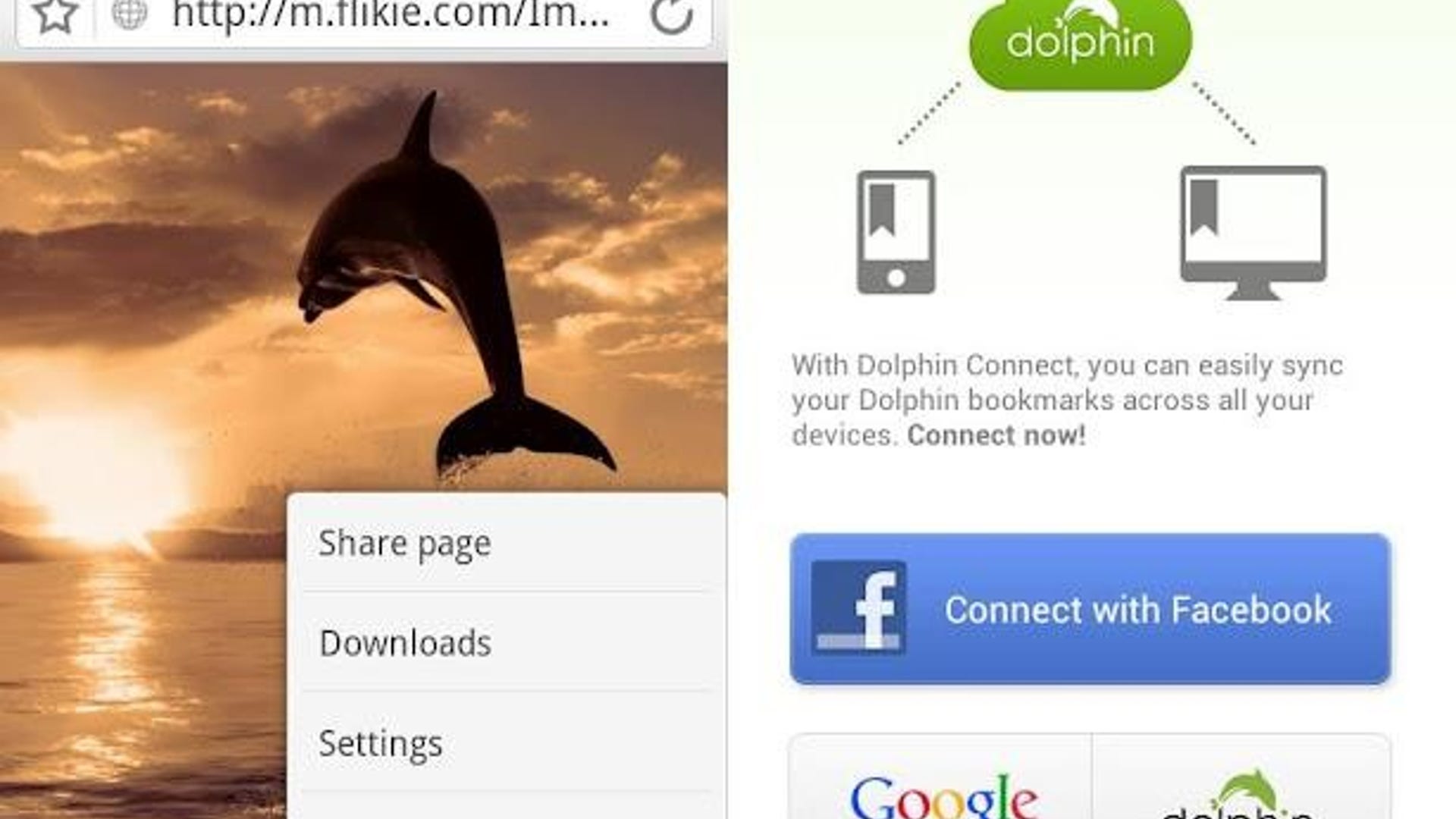 dolphin_browser_android_screenshot_614x512_c