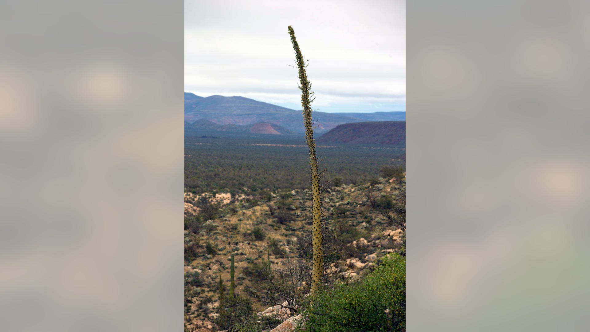 Mexico_Baja_Tourism__8_