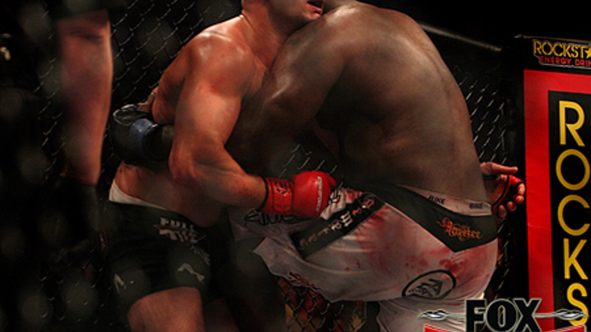 Fox_Fight_Game____Fedor_v__Rogers11